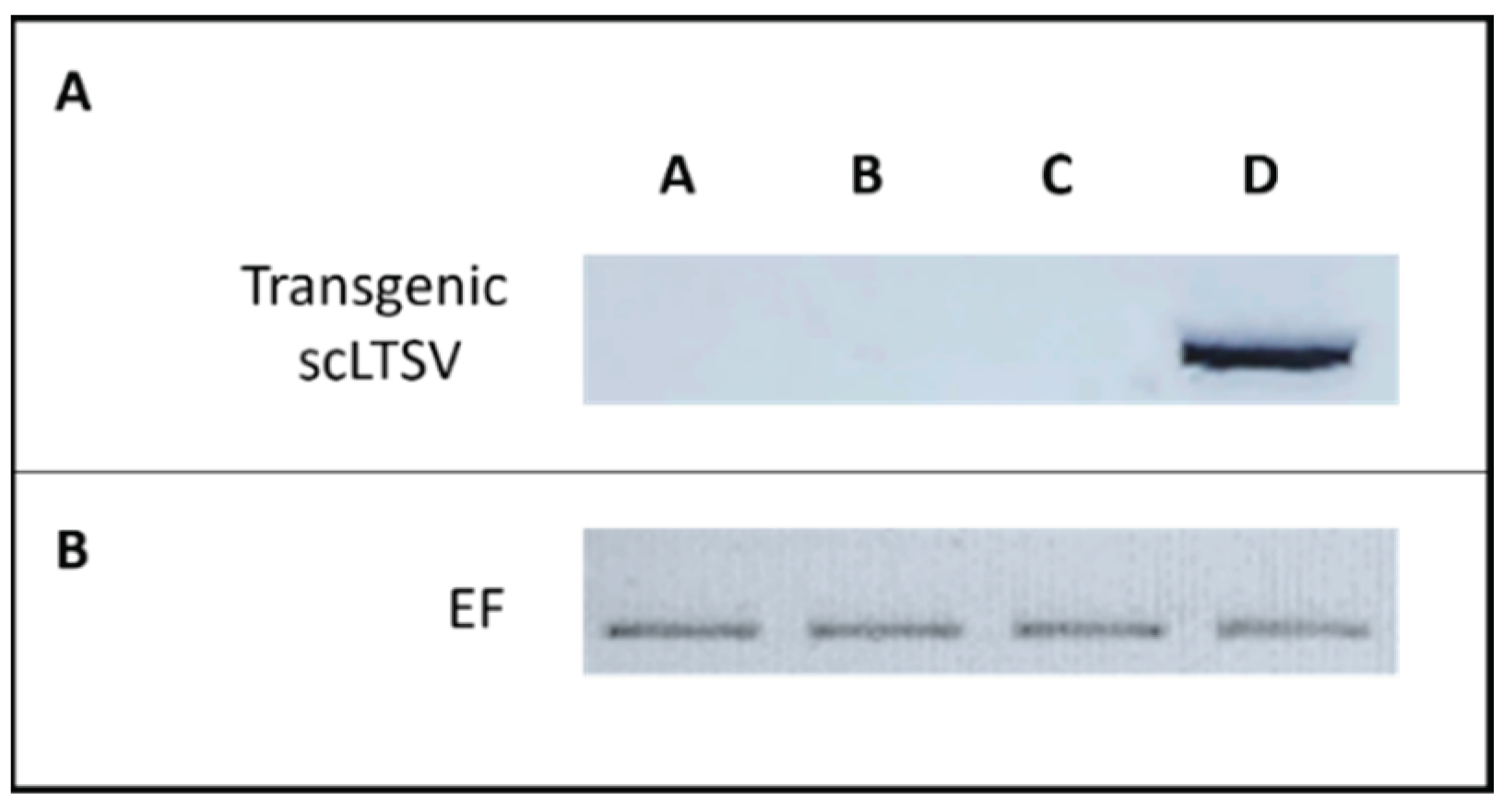 Preprints 159682 g005