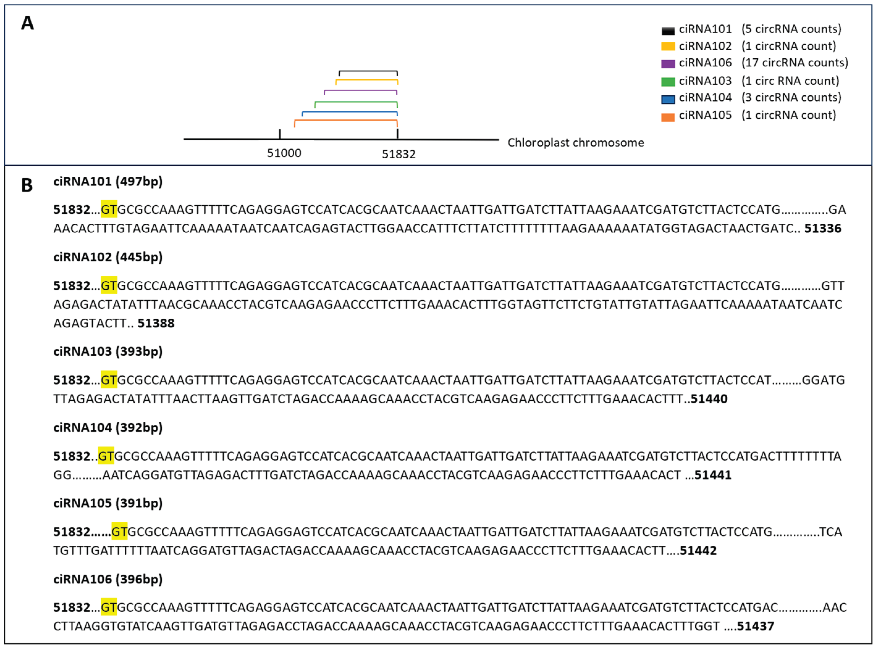 Preprints 159682 g012