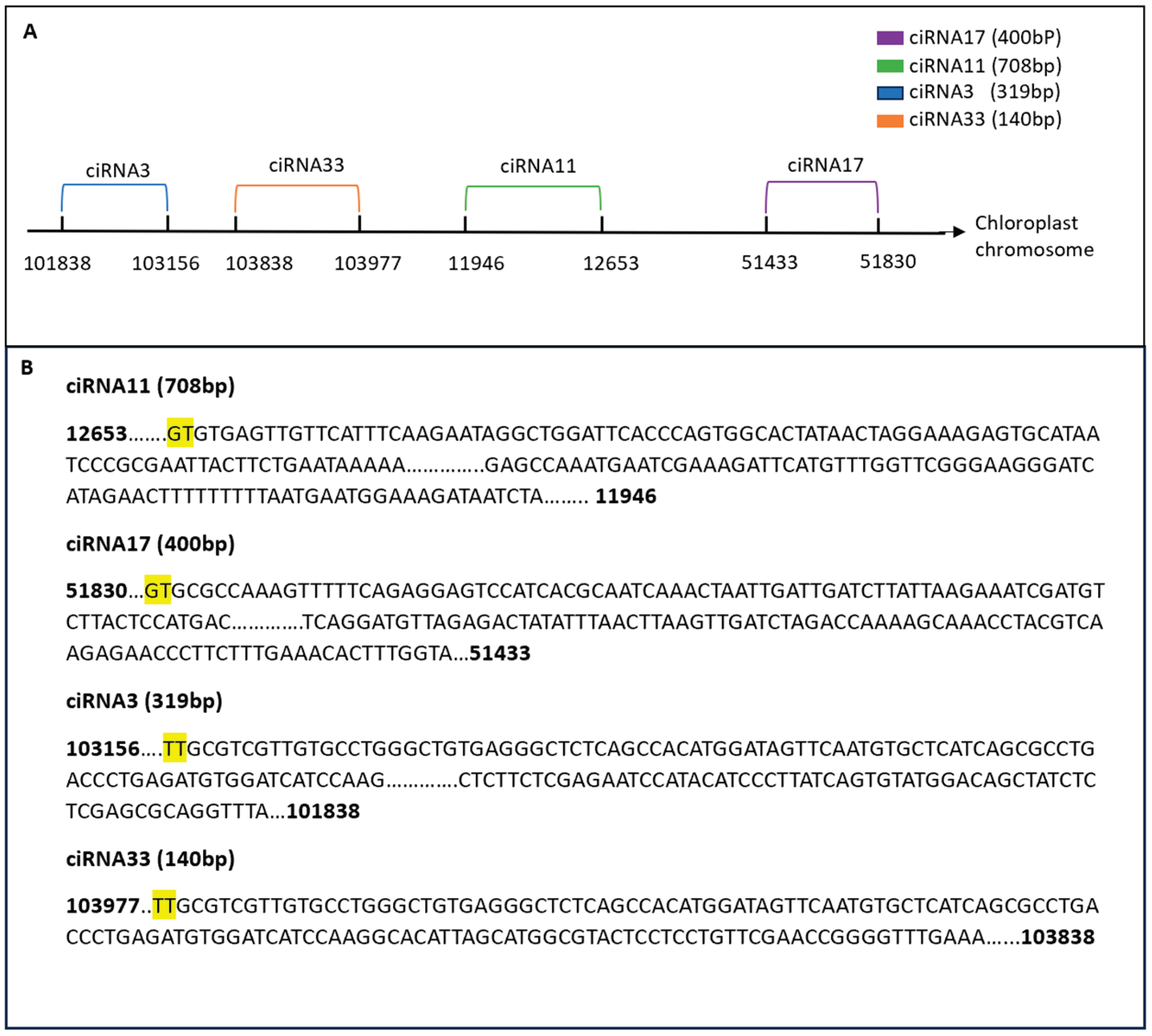 Preprints 159682 g013