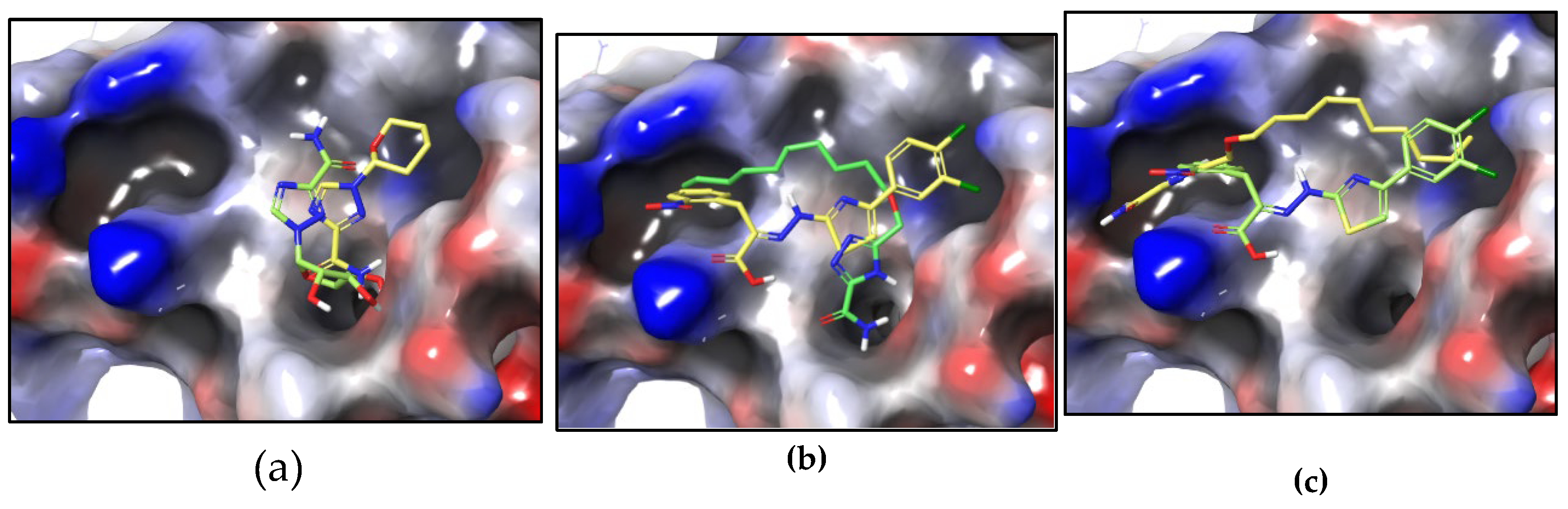 Preprints 118540 g008