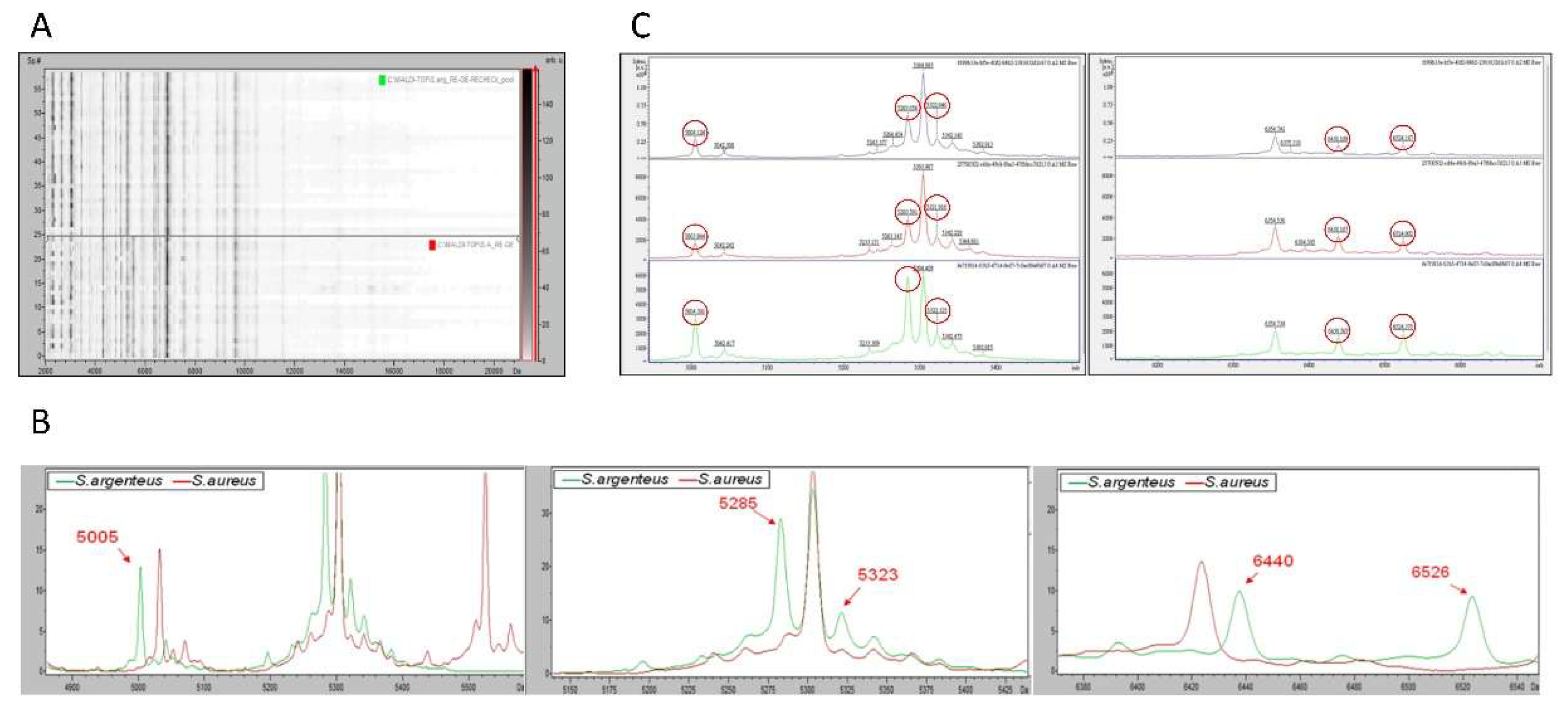Preprints 213681 g003