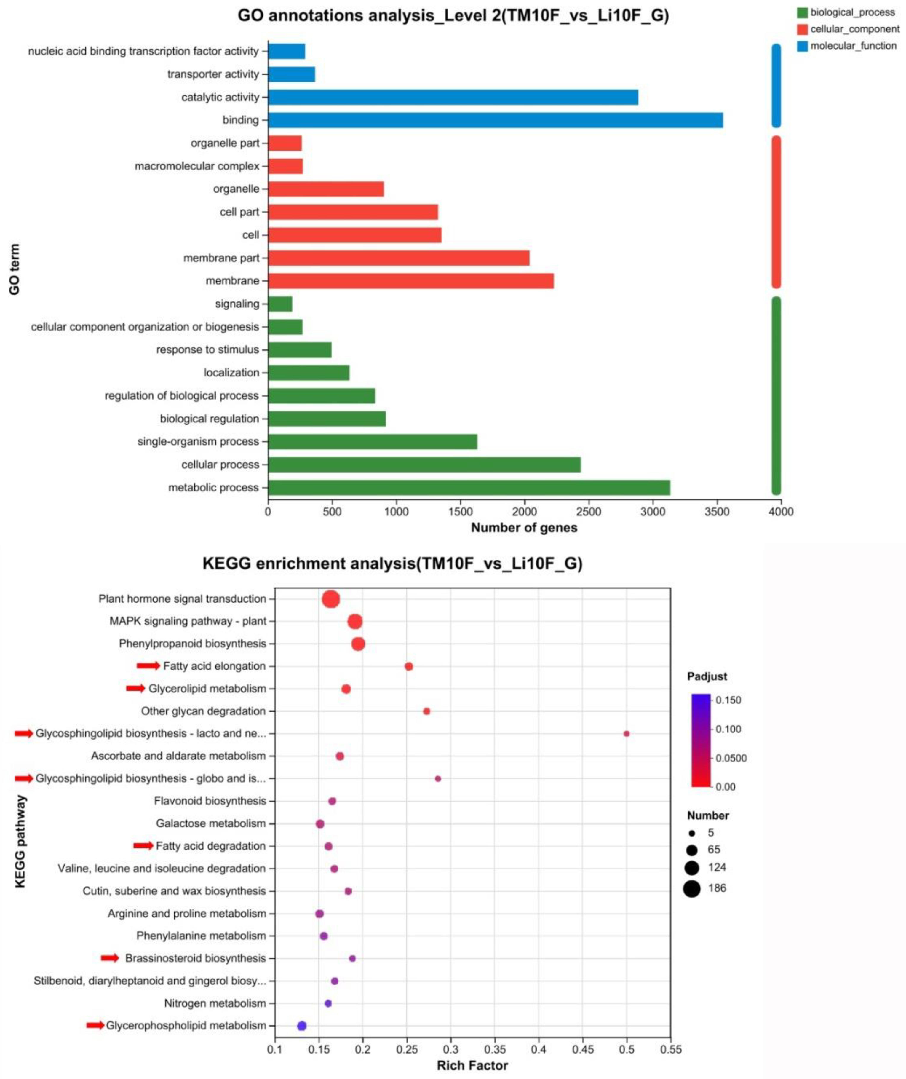 Preprints 144970 g007