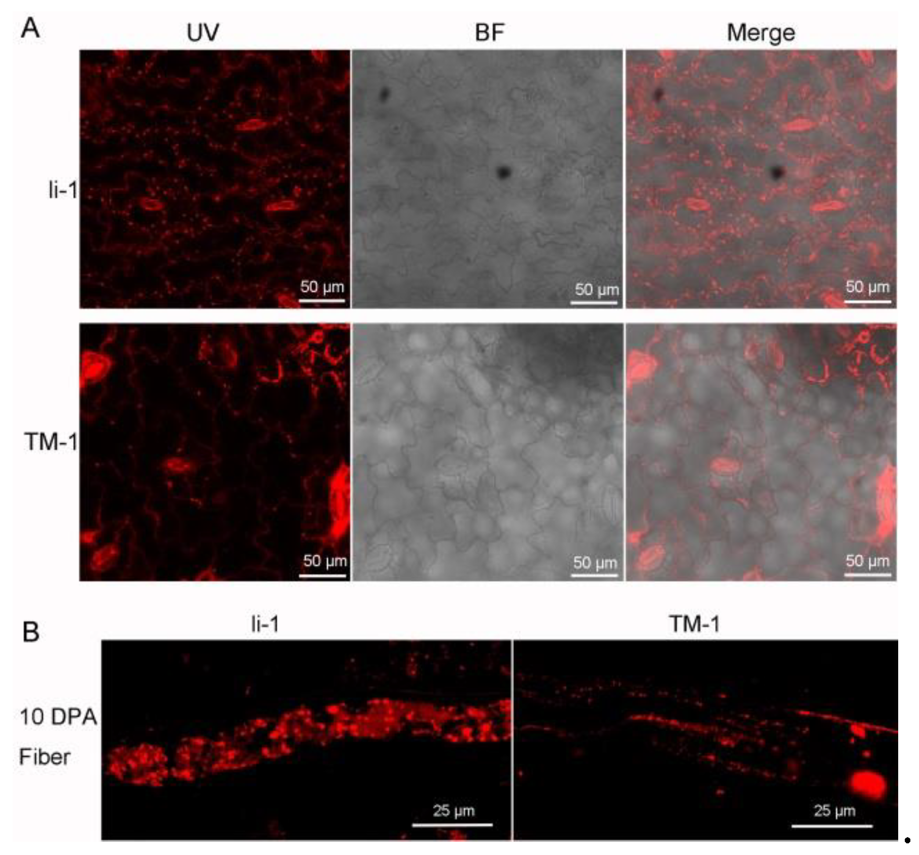 Preprints 144970 g009