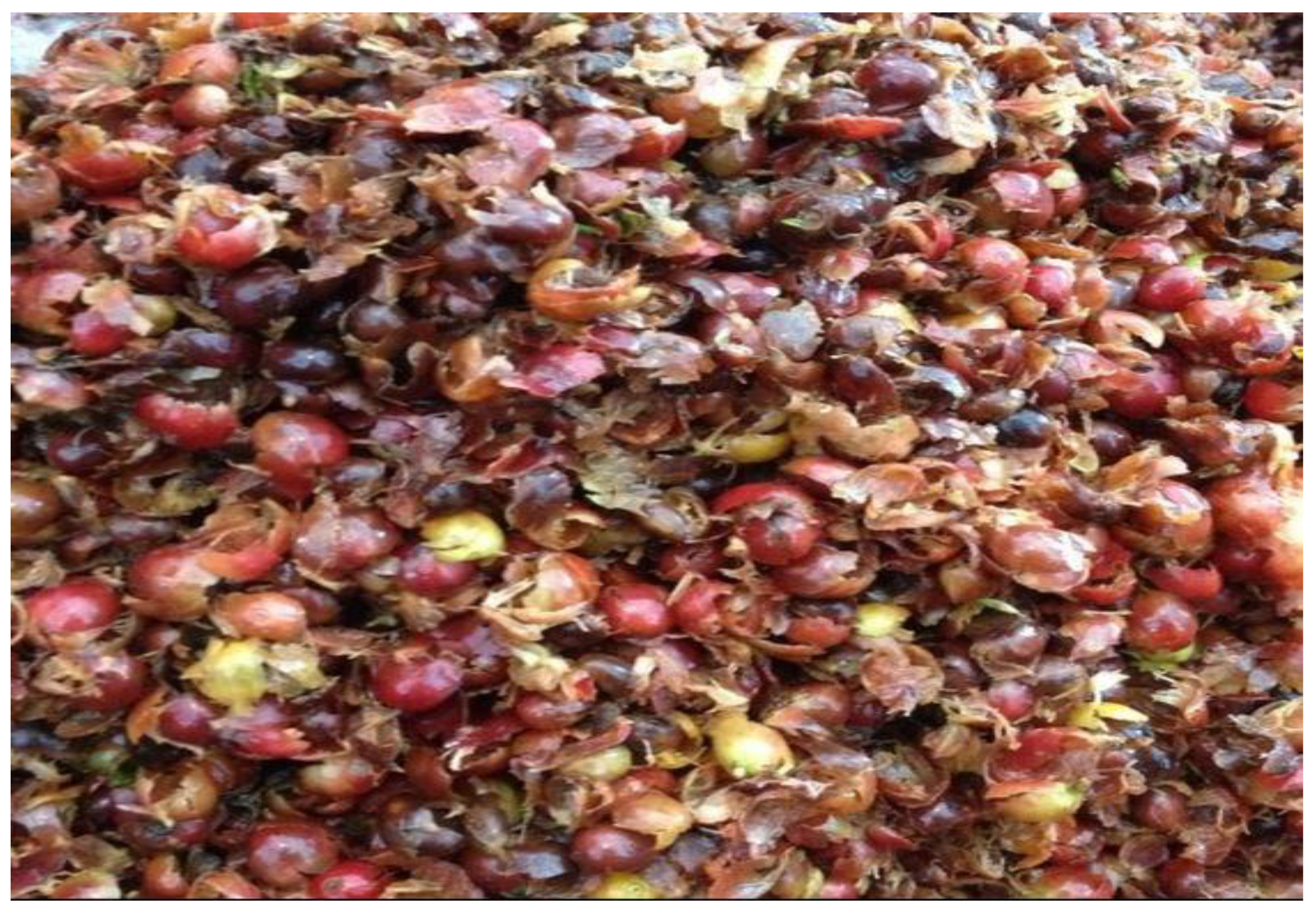 Preprints 162802 g002