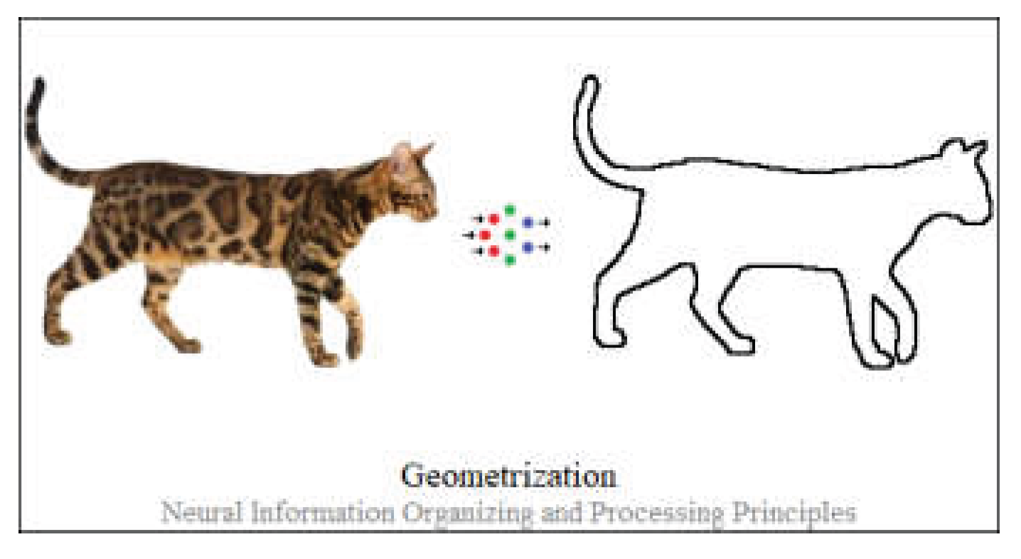 Preprints 161551 g007