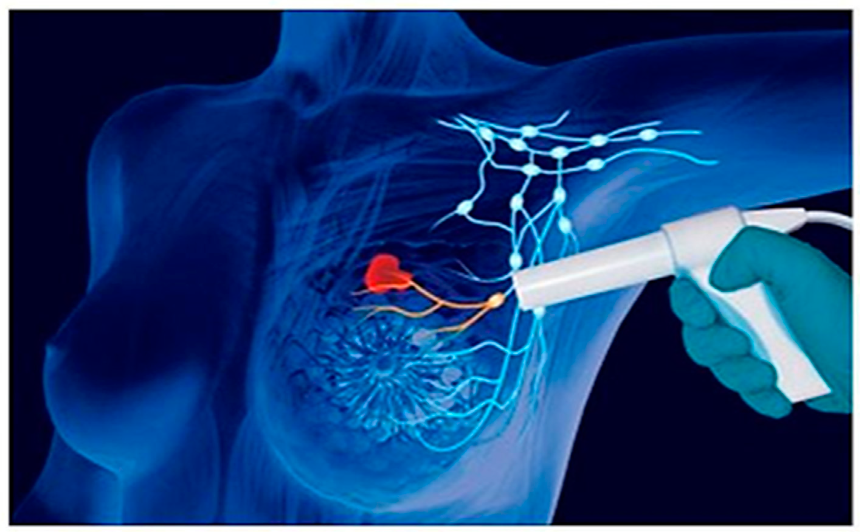 Preprints 74254 g002