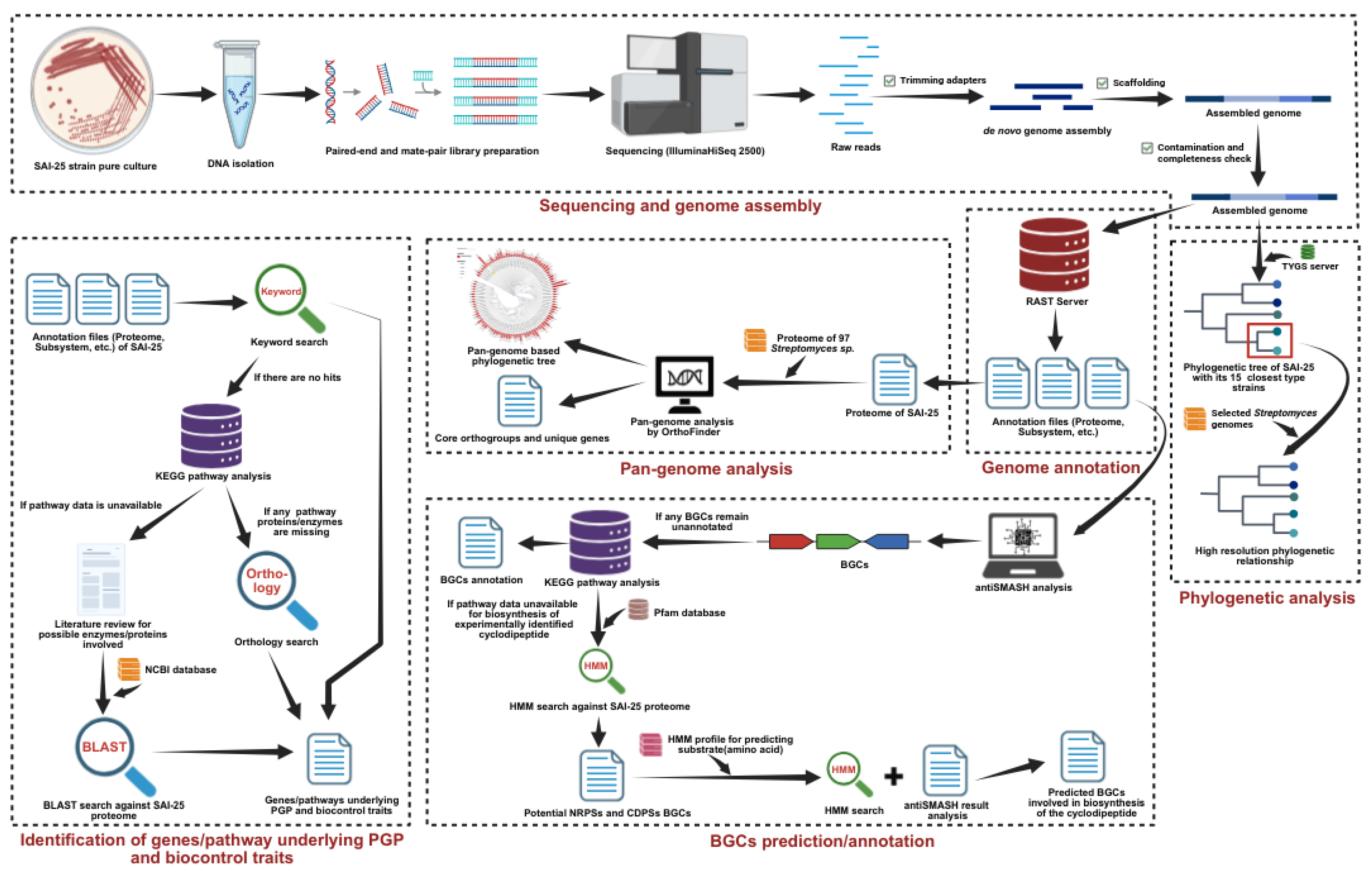 Preprints 168917 g001