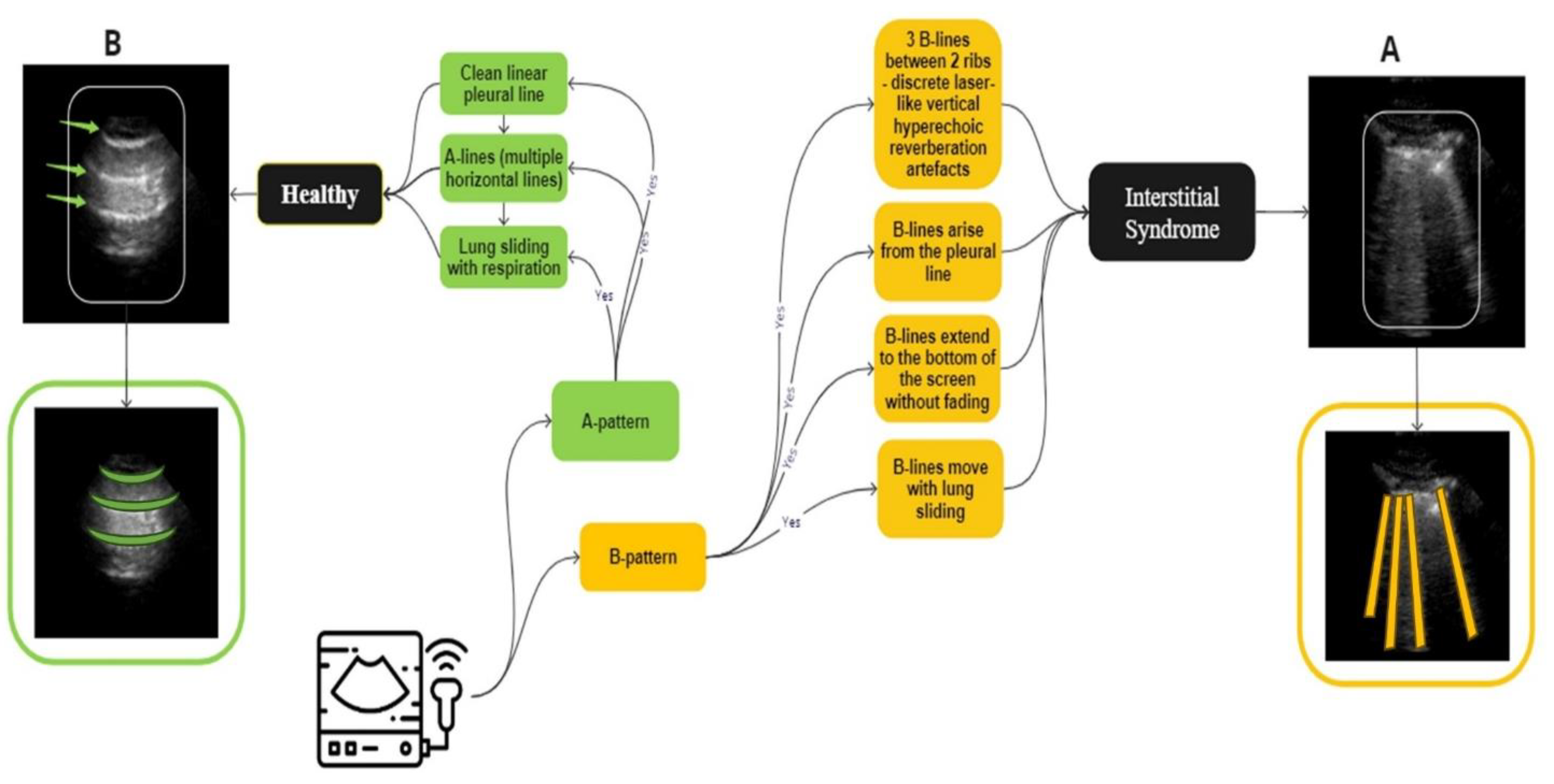 Preprints 166355 g002