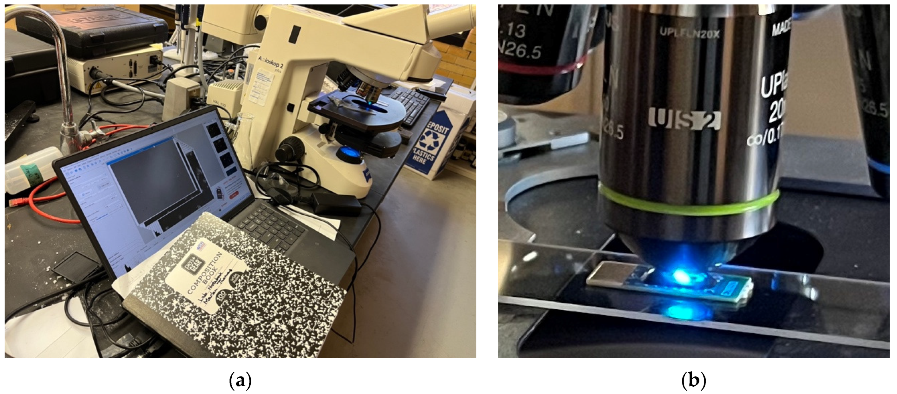 Preprints 100269 g002