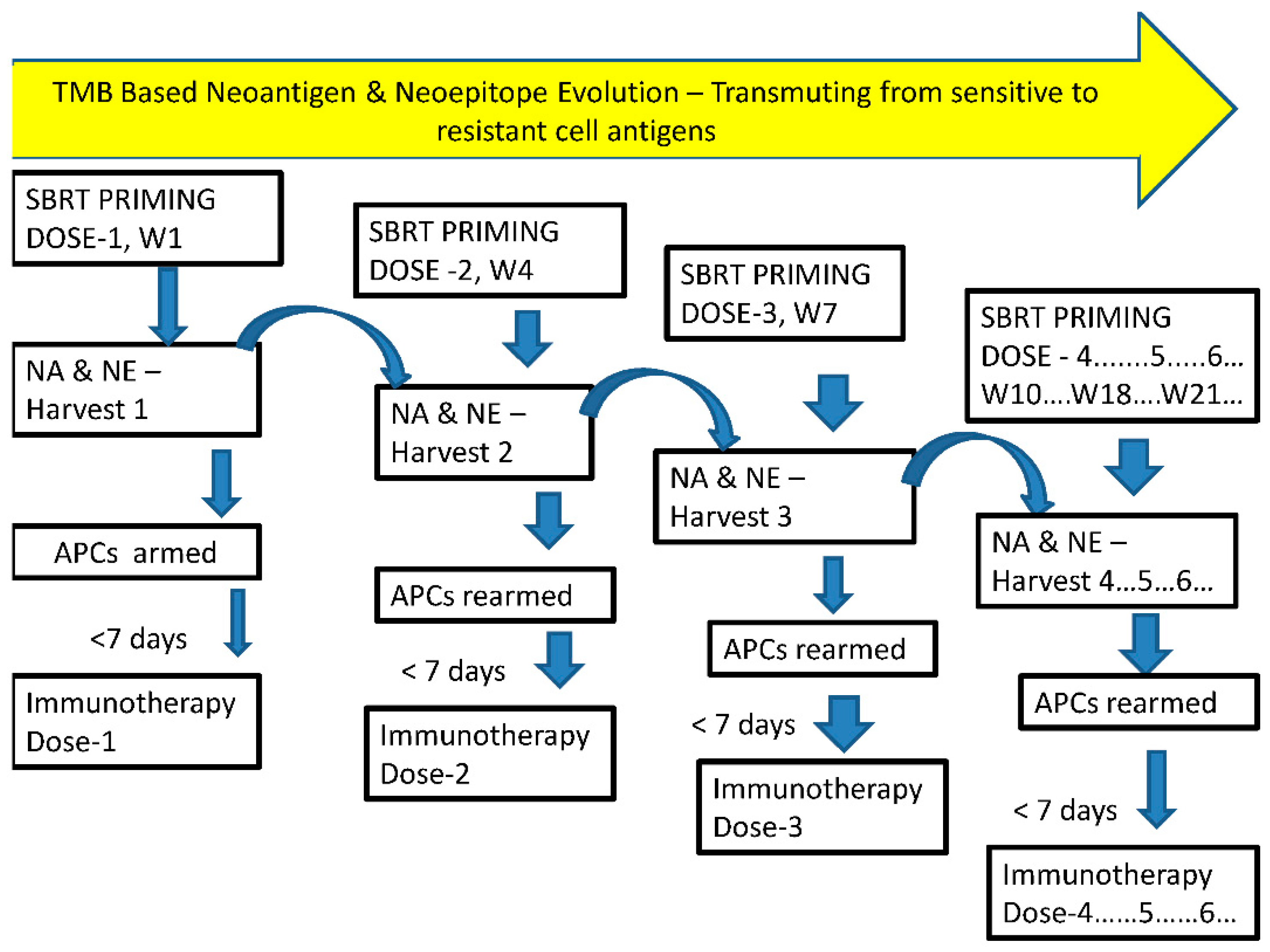 Preprints 81621 g001