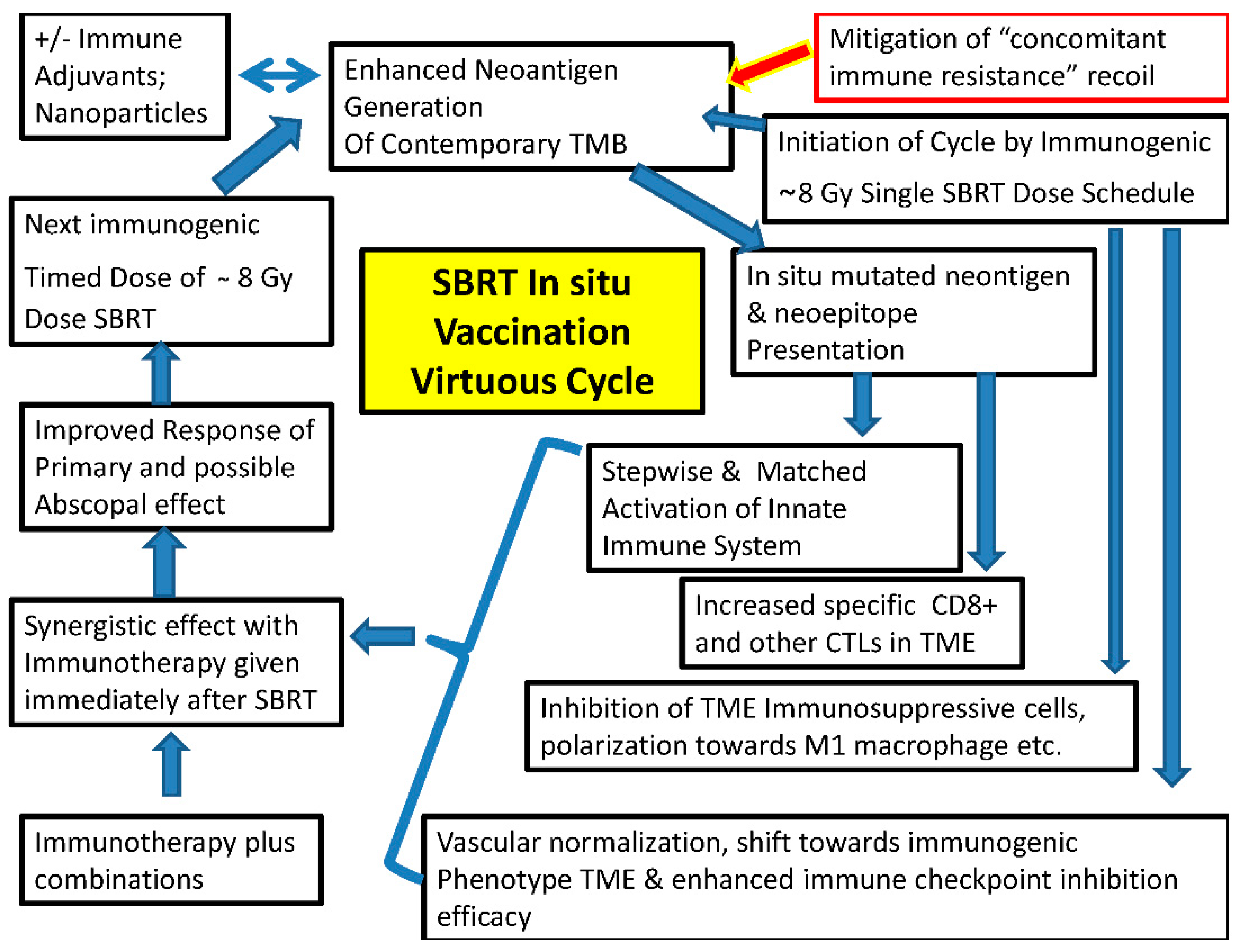 Preprints 81621 g002