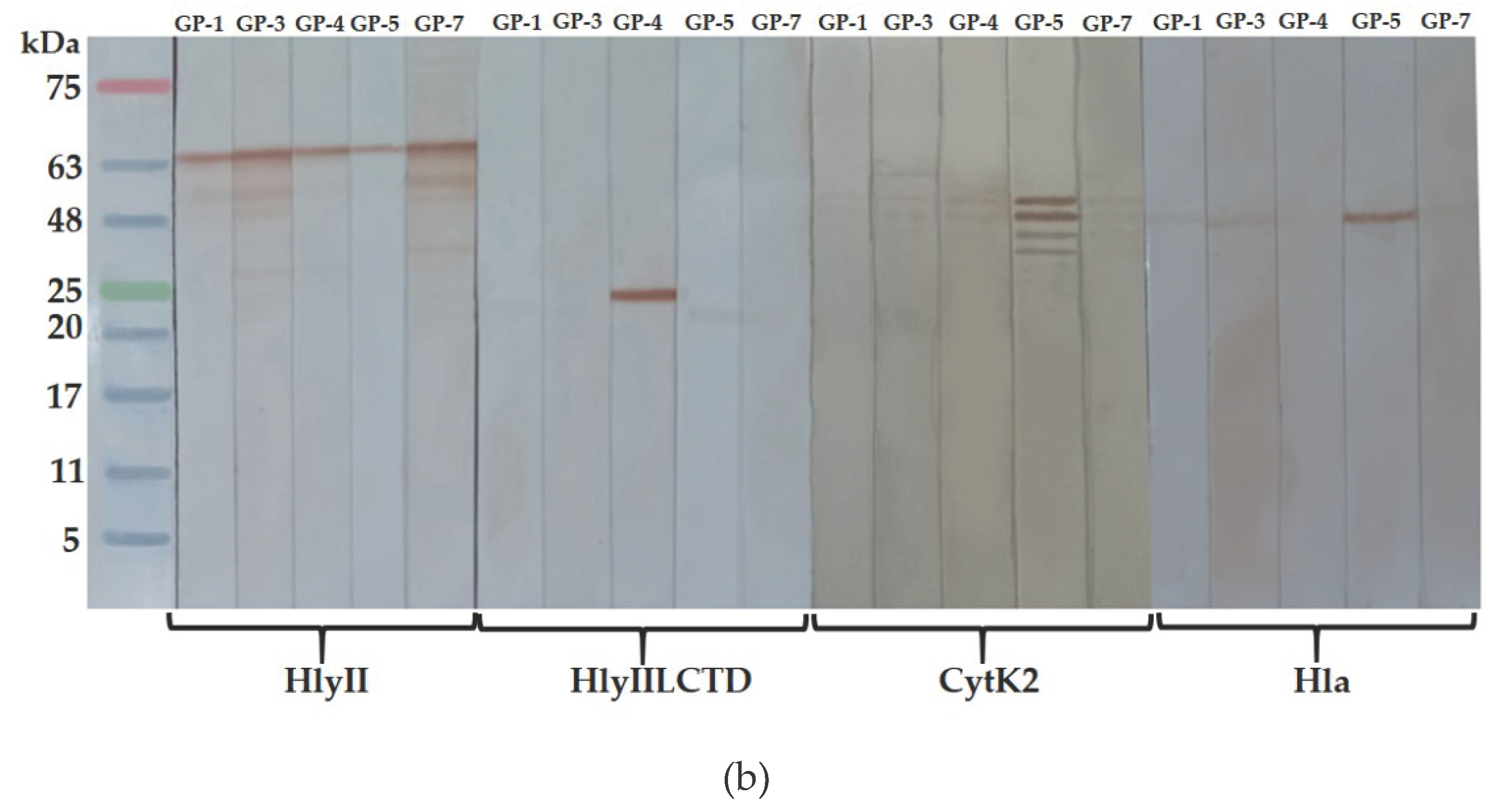 Preprints 101600 g005b