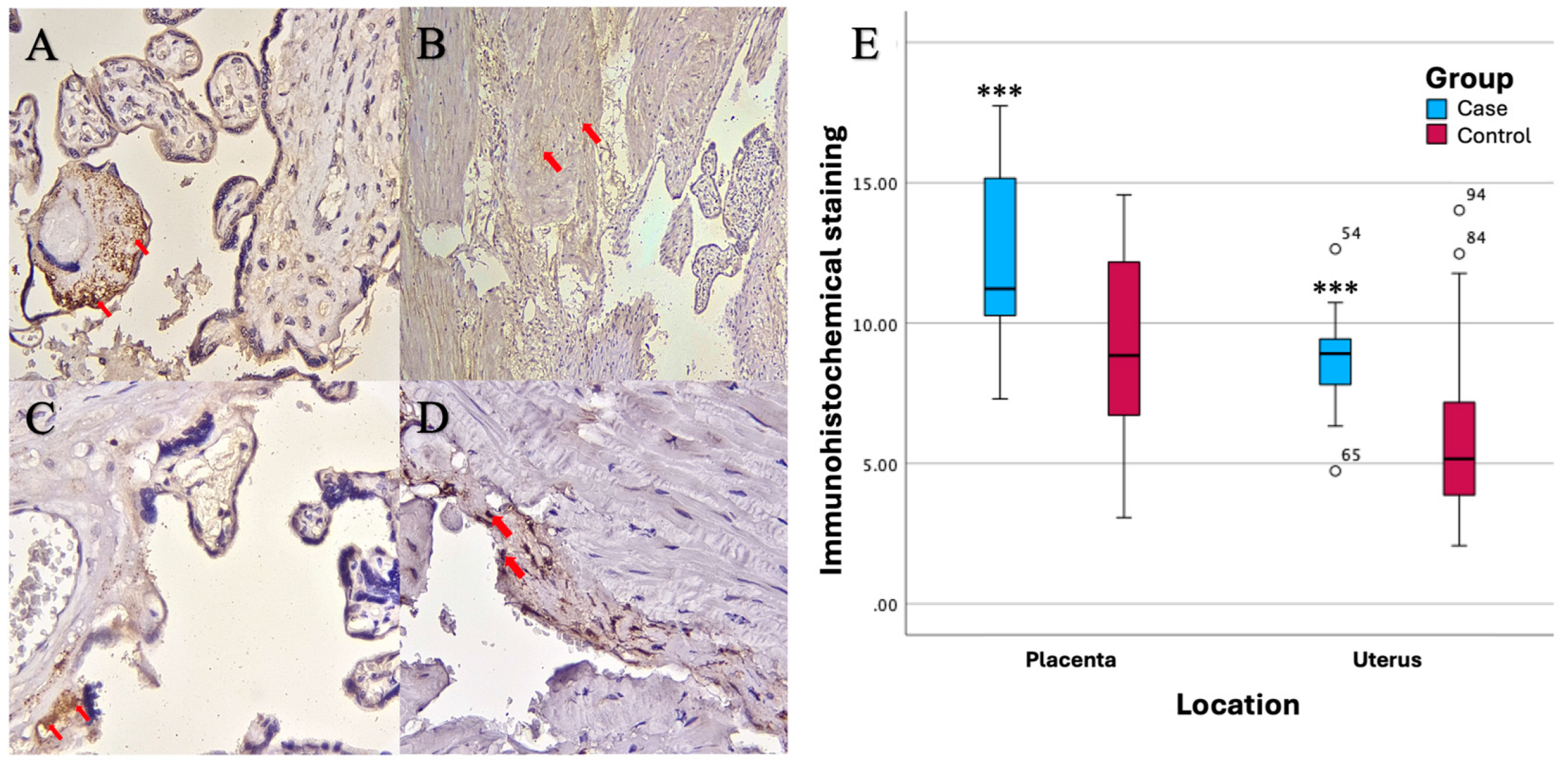 Preprints 147150 g002