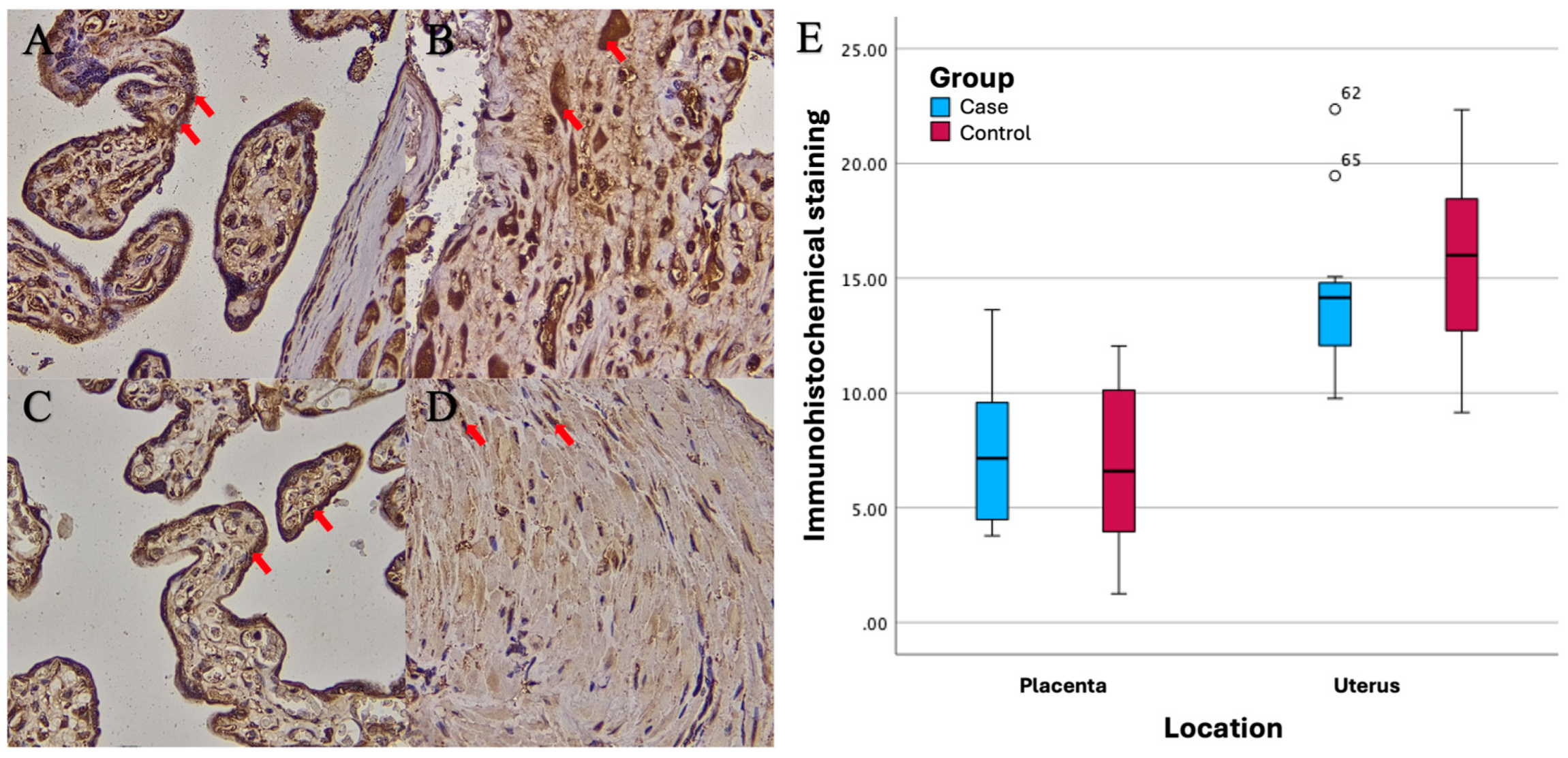 Preprints 147150 g003