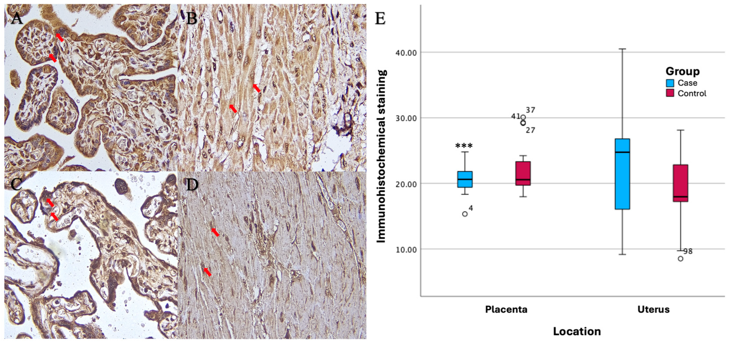 Preprints 147150 g004