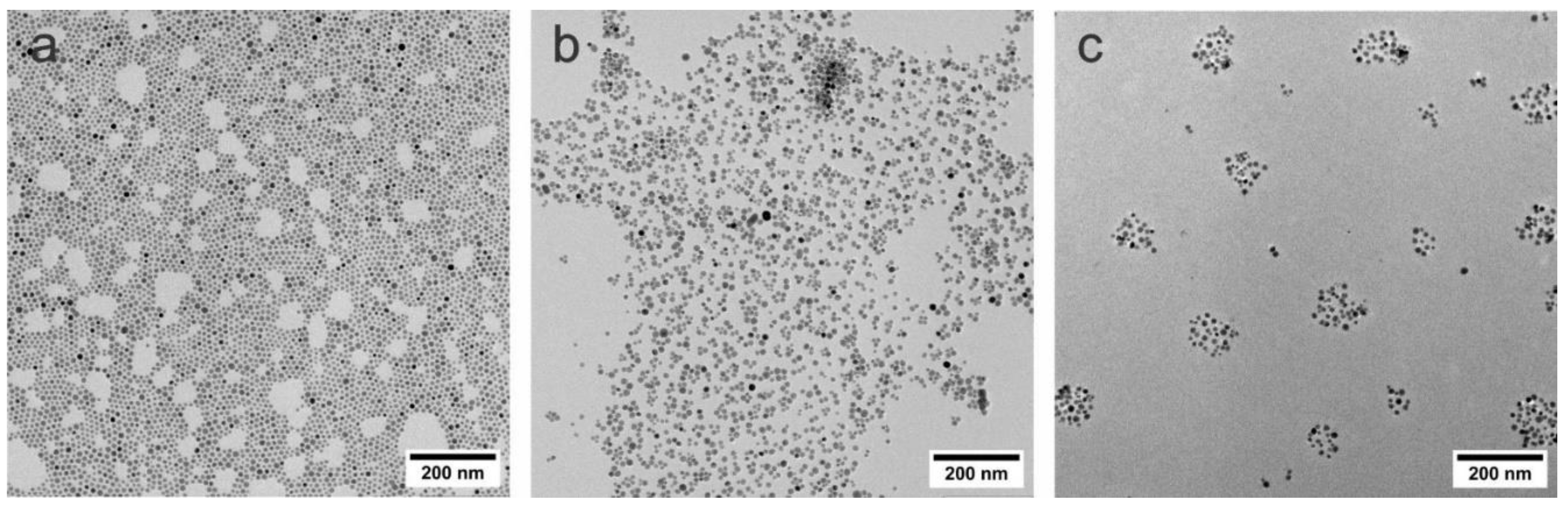 Preprints 196354 g001