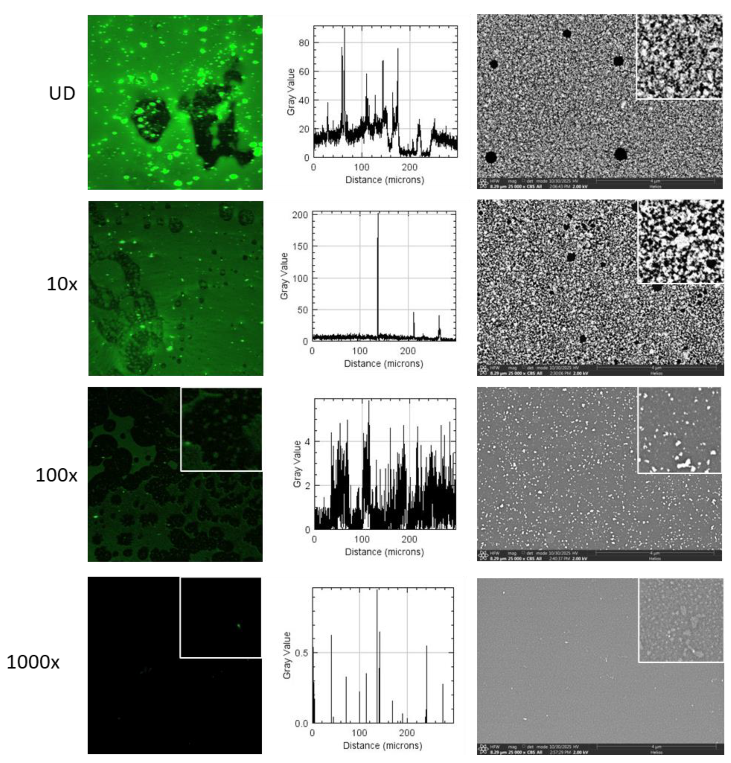 Preprints 196354 g006