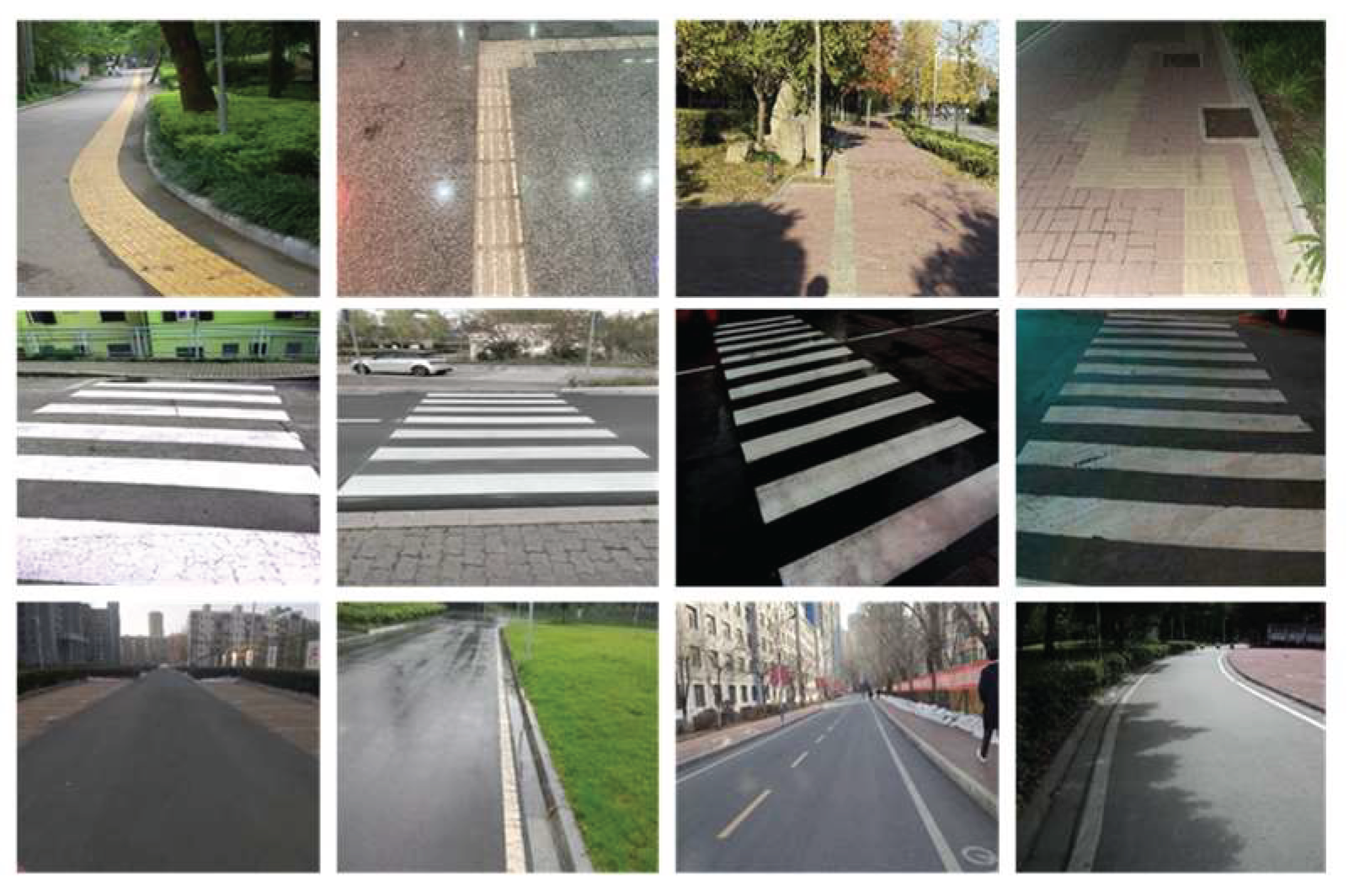 Preprints 159067 g009