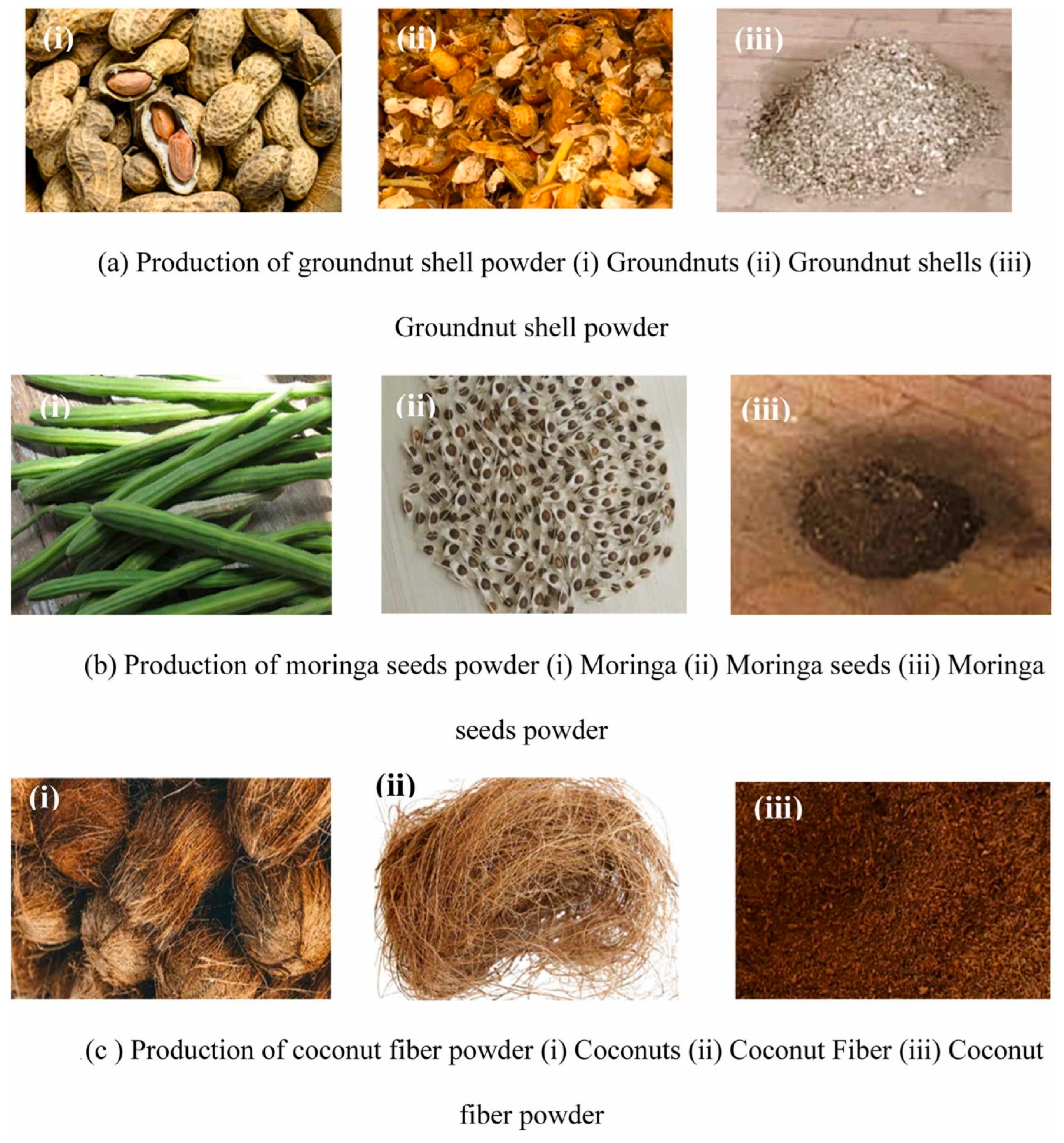 Preprints 187890 g002