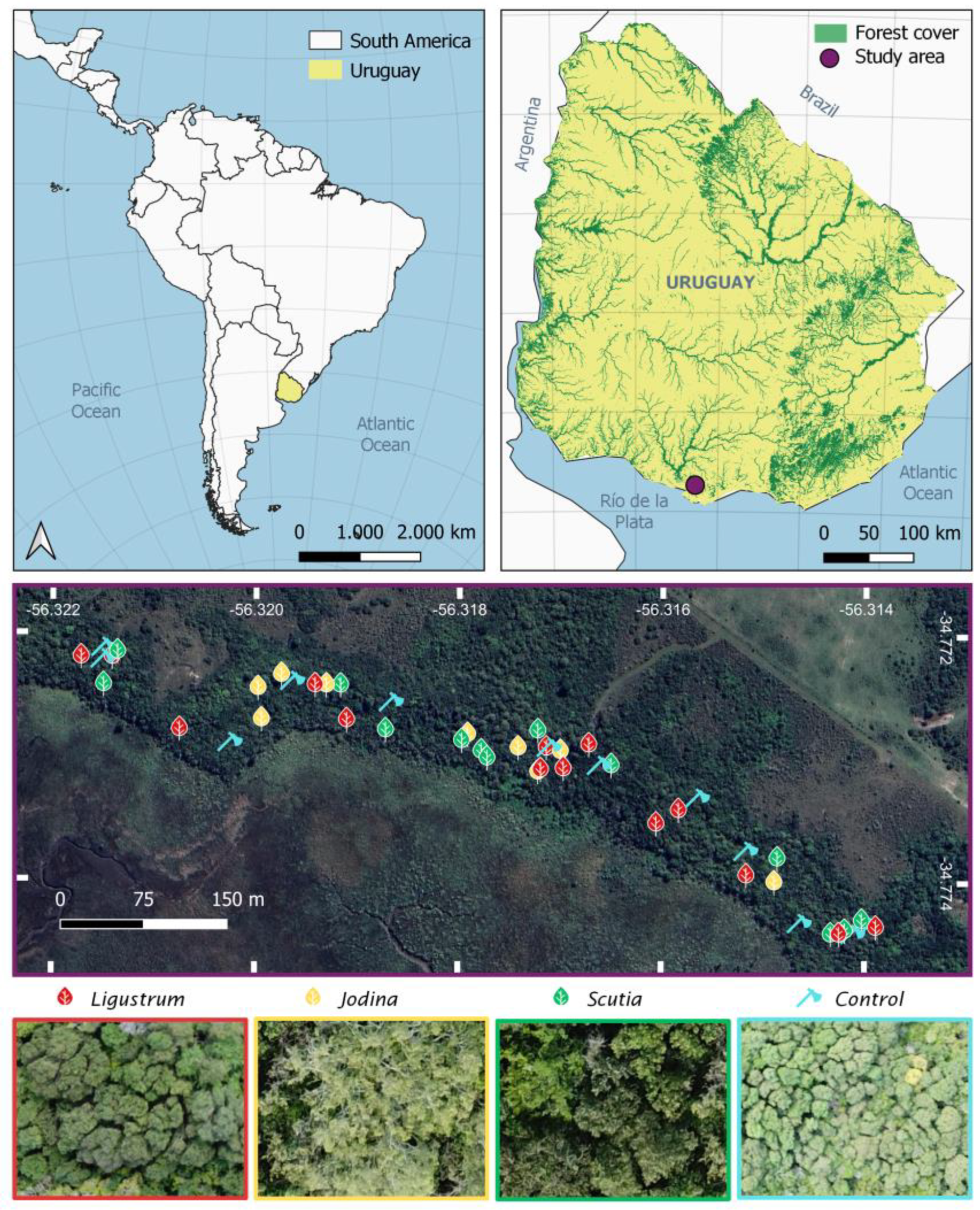 Preprints 146748 g001