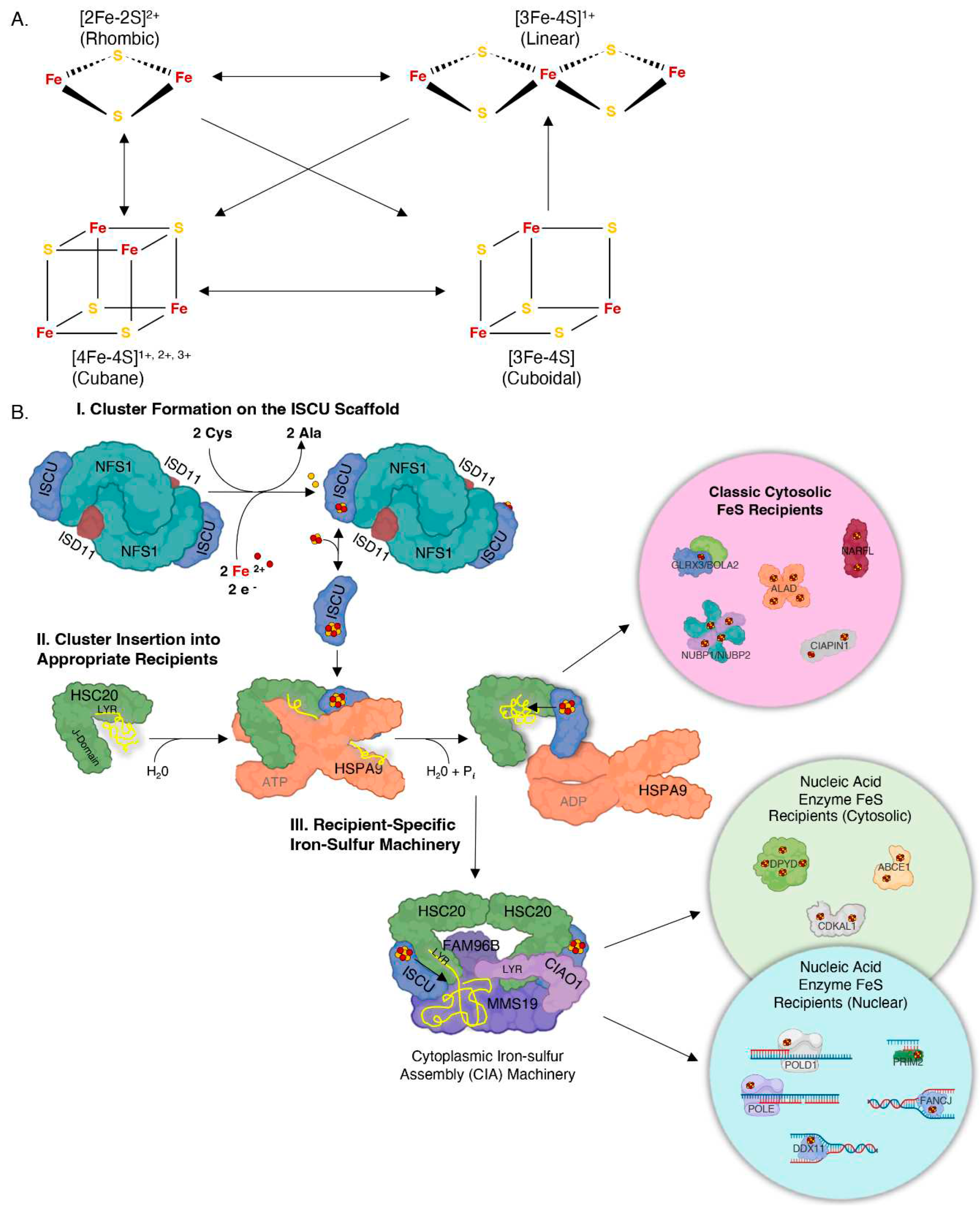 Preprints 93721 g001