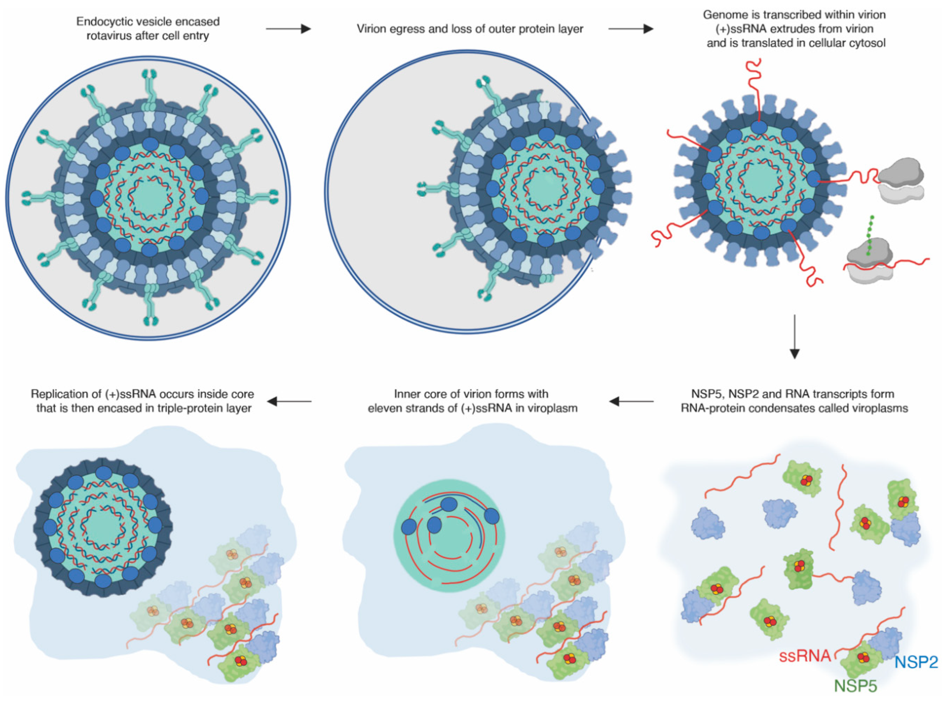 Preprints 93721 g002
