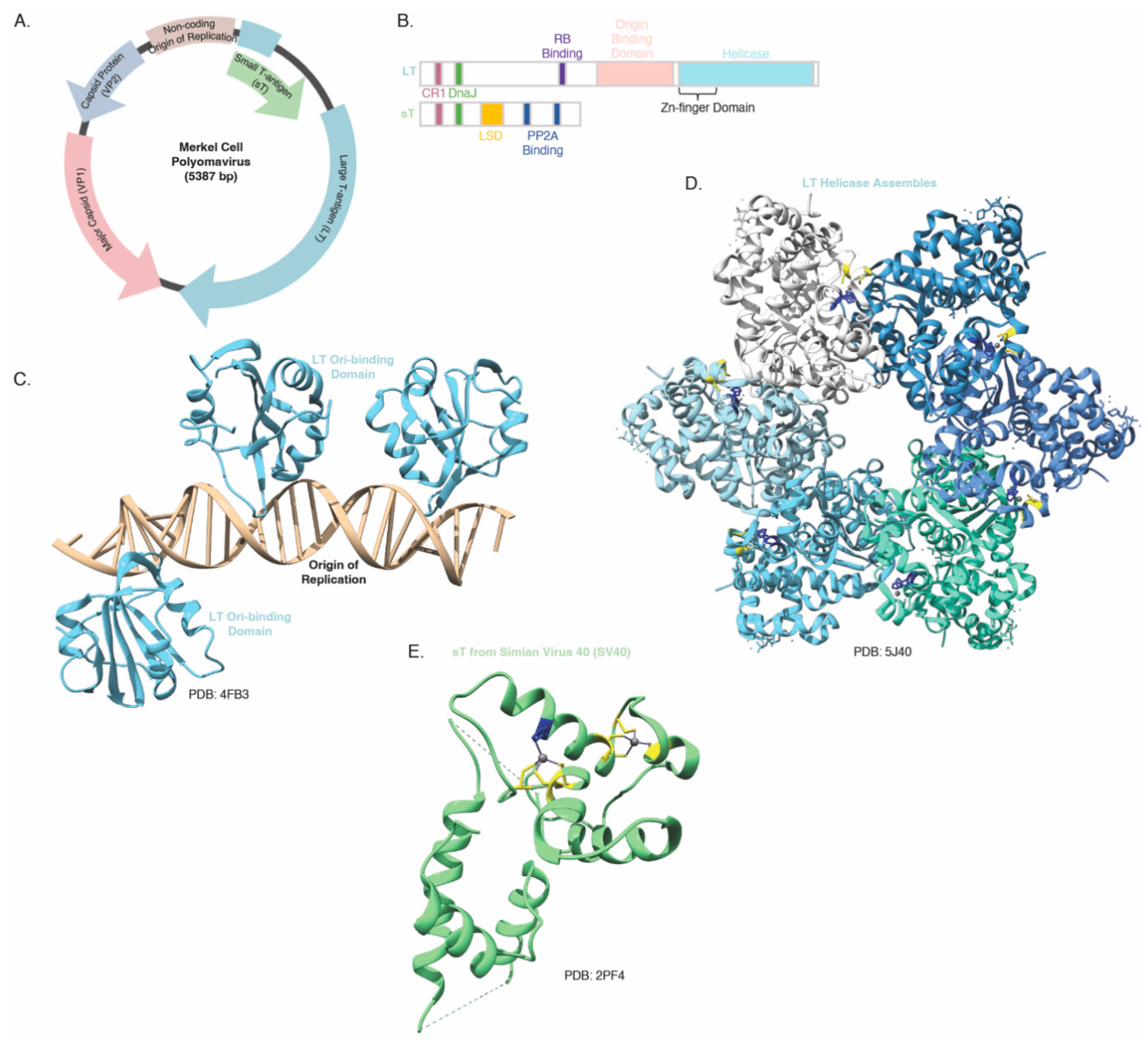 Preprints 93721 g003