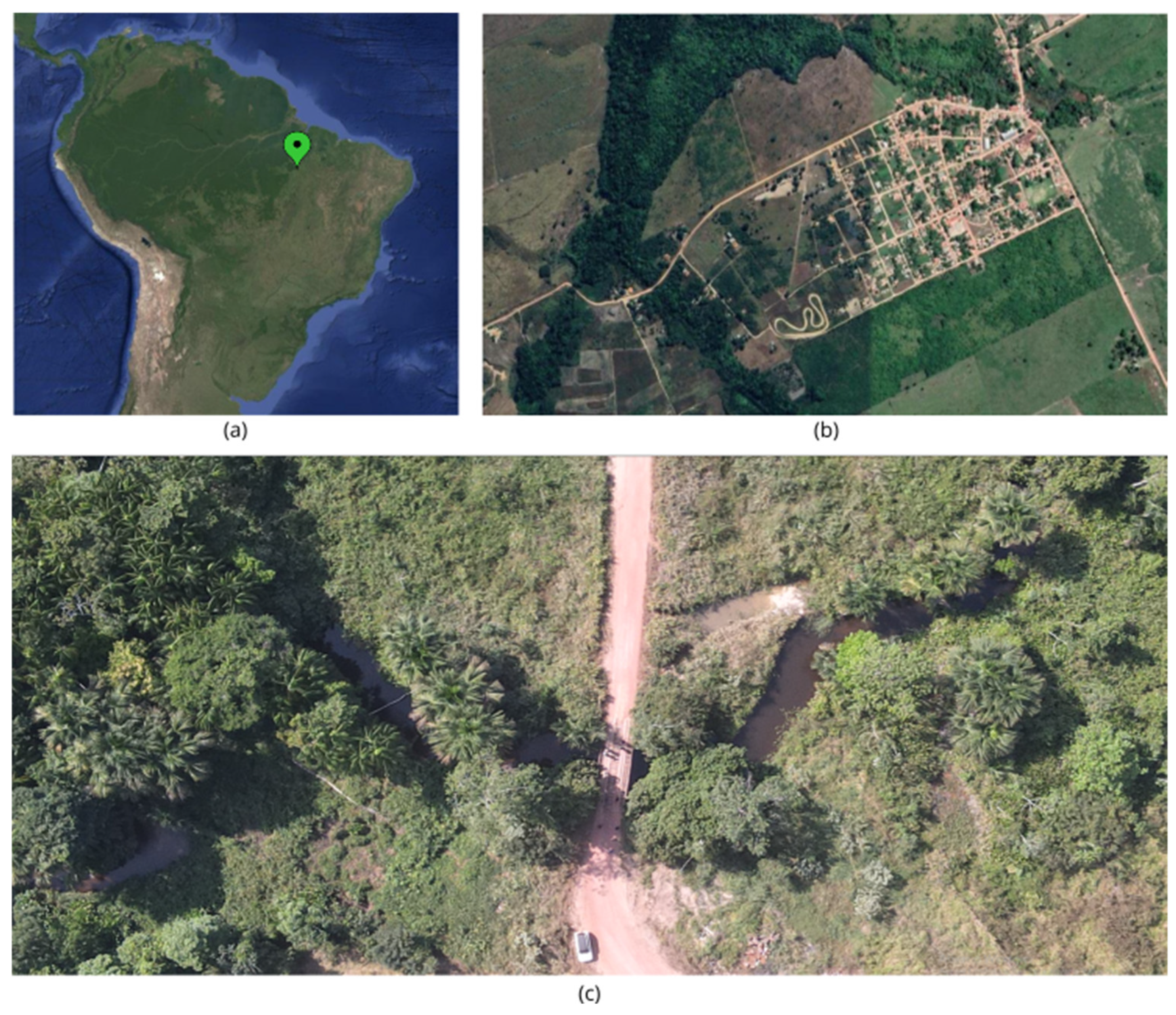 Preprints 156510 g001