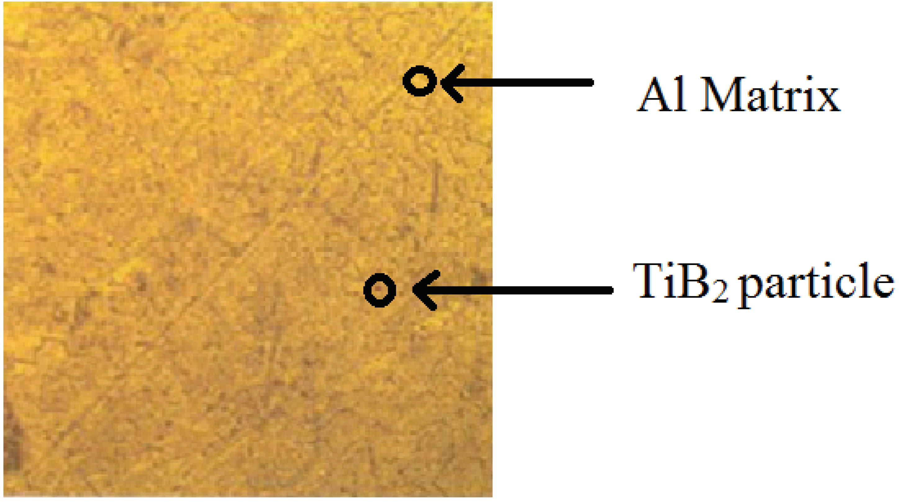 Preprints 102096 g001