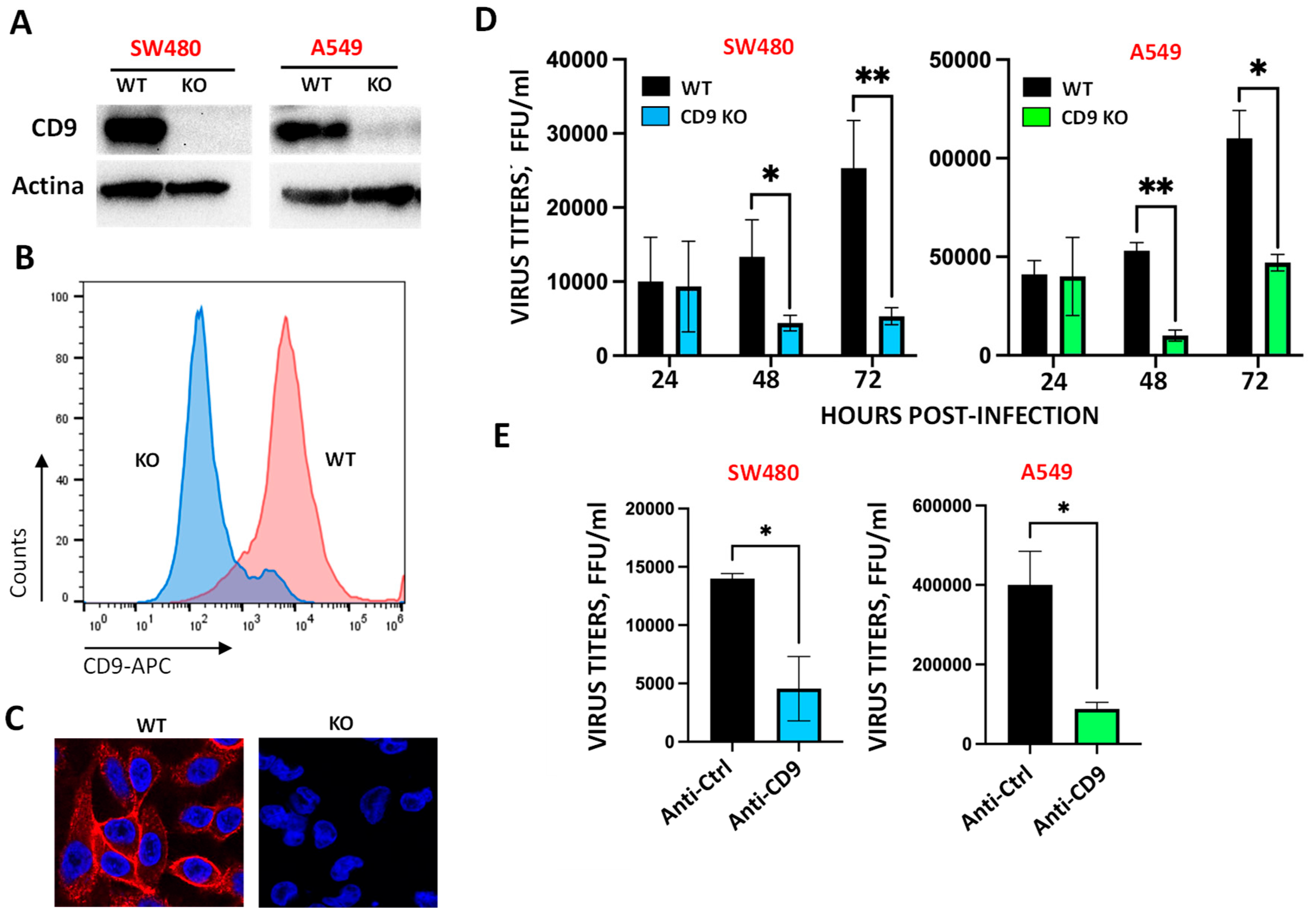 Preprints 166207 g001