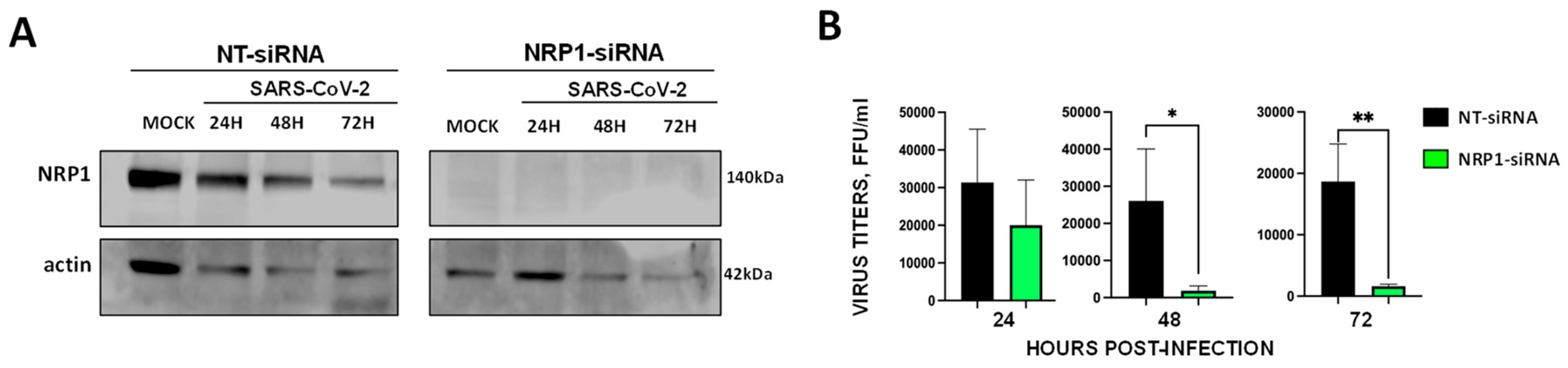 Preprints 166207 g003