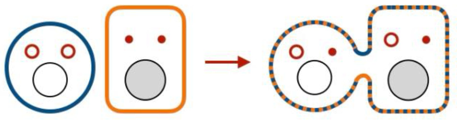 Preprints 228972 g001 Preprints 228972 g001