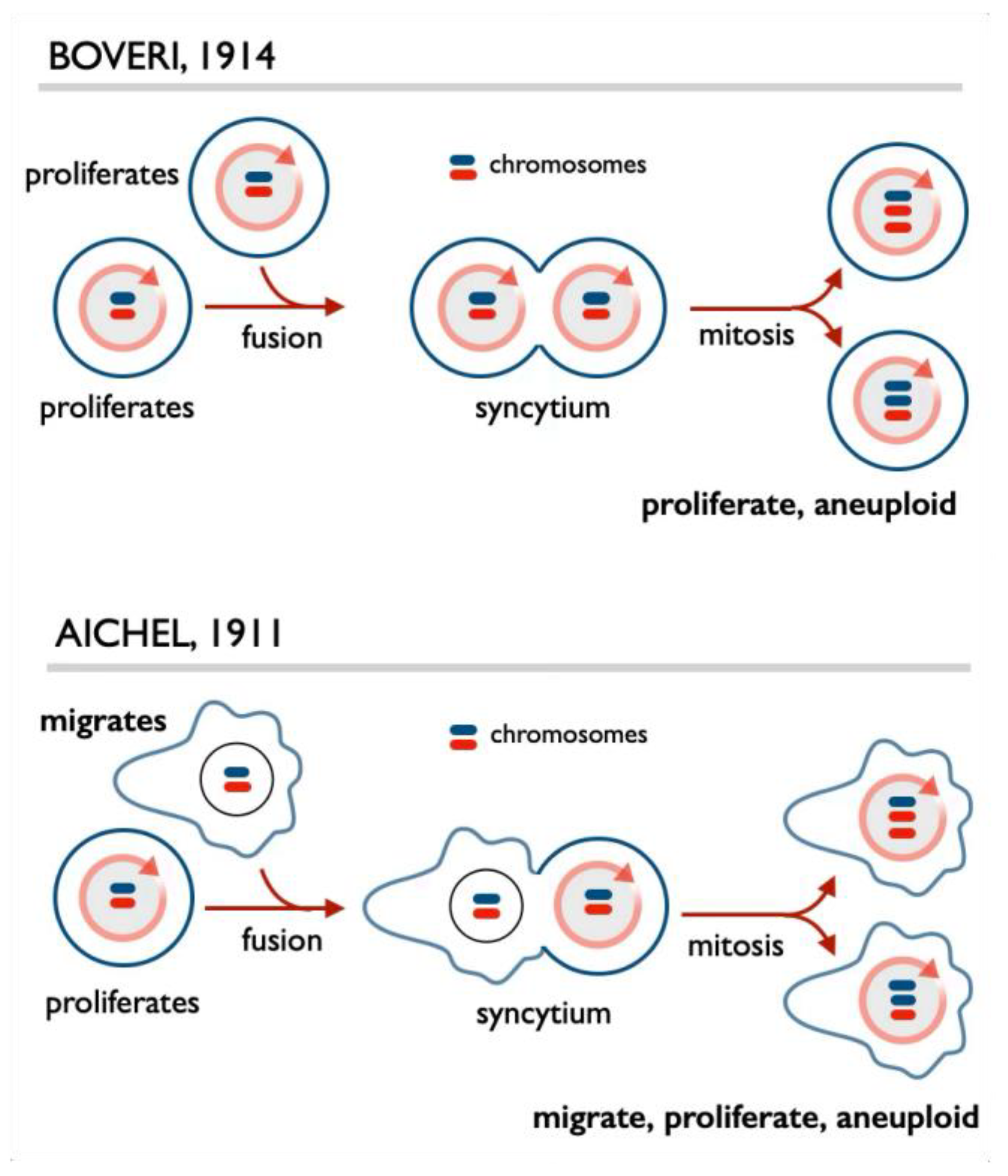 Preprints 228972 g005 Preprints 228972 g005