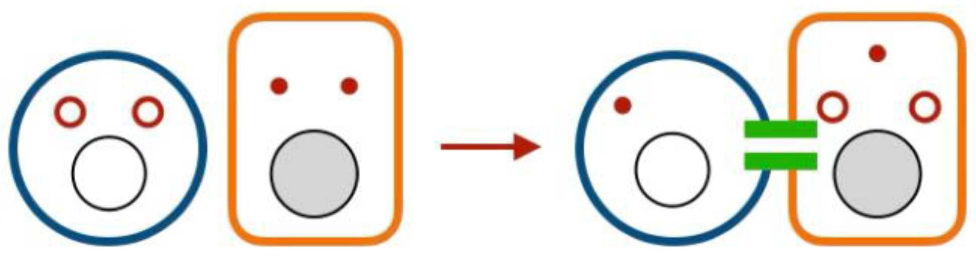 Preprints 228972 g007 Preprints 228972 g007