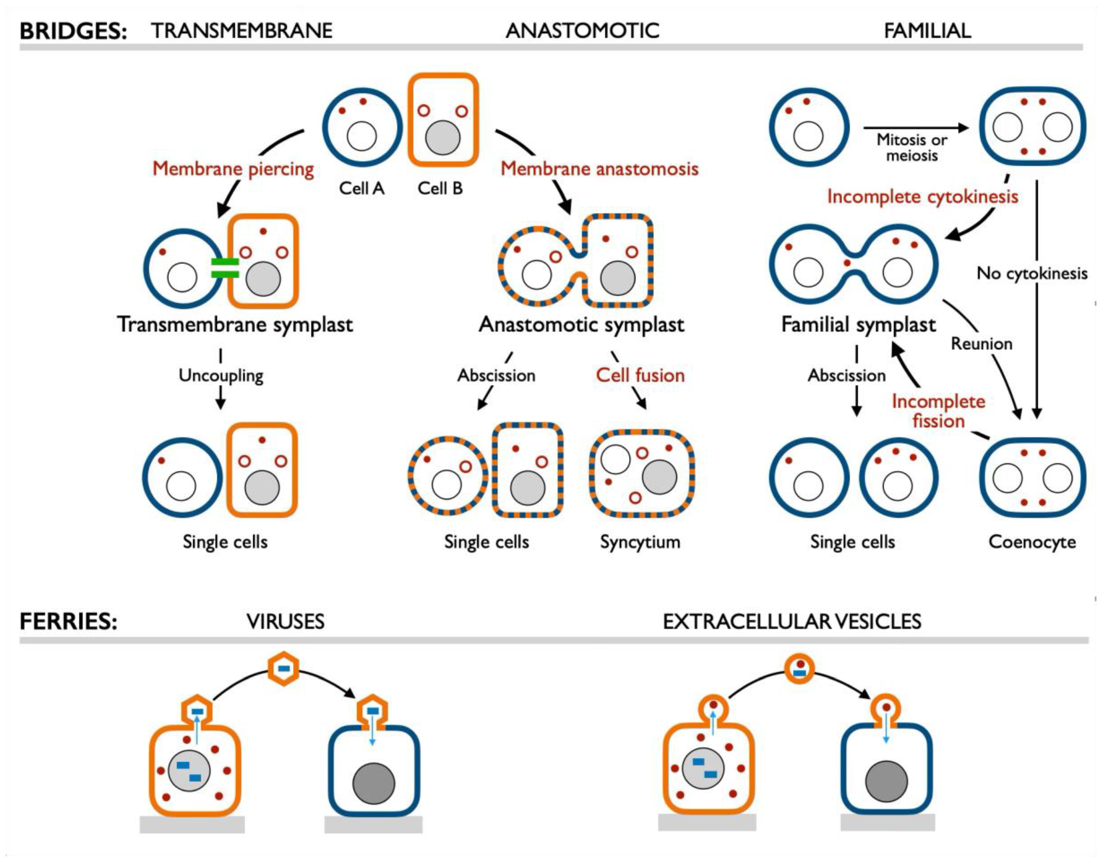 Preprints 228972 g013 Preprints 228972 g013