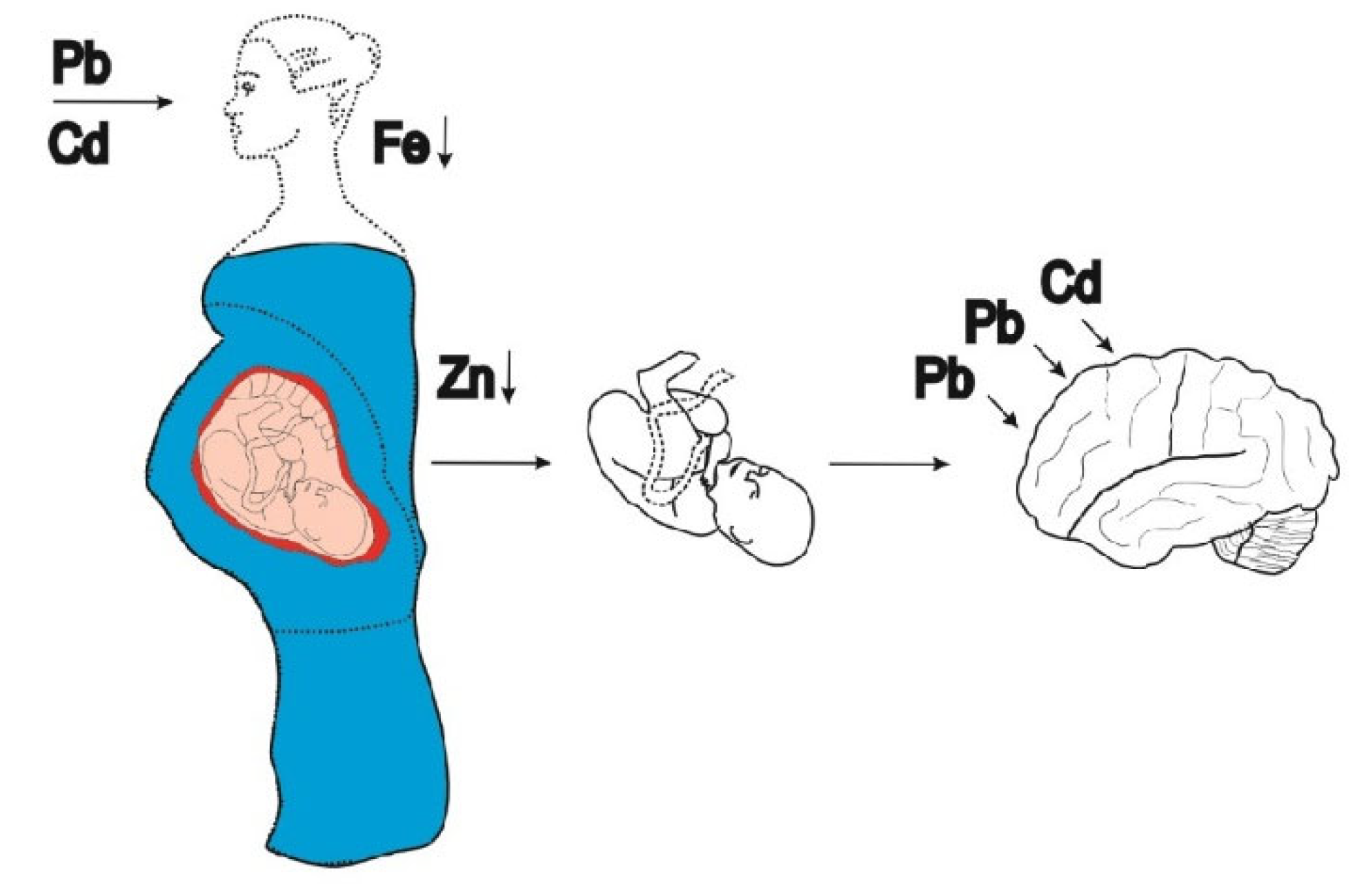 Preprints 206524 g001