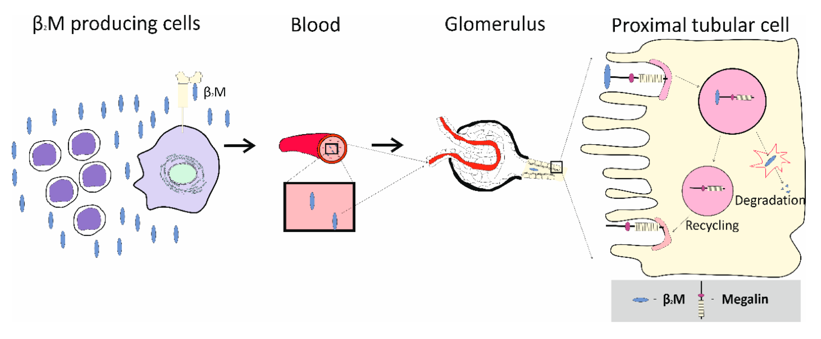 Preprints 206524 g003