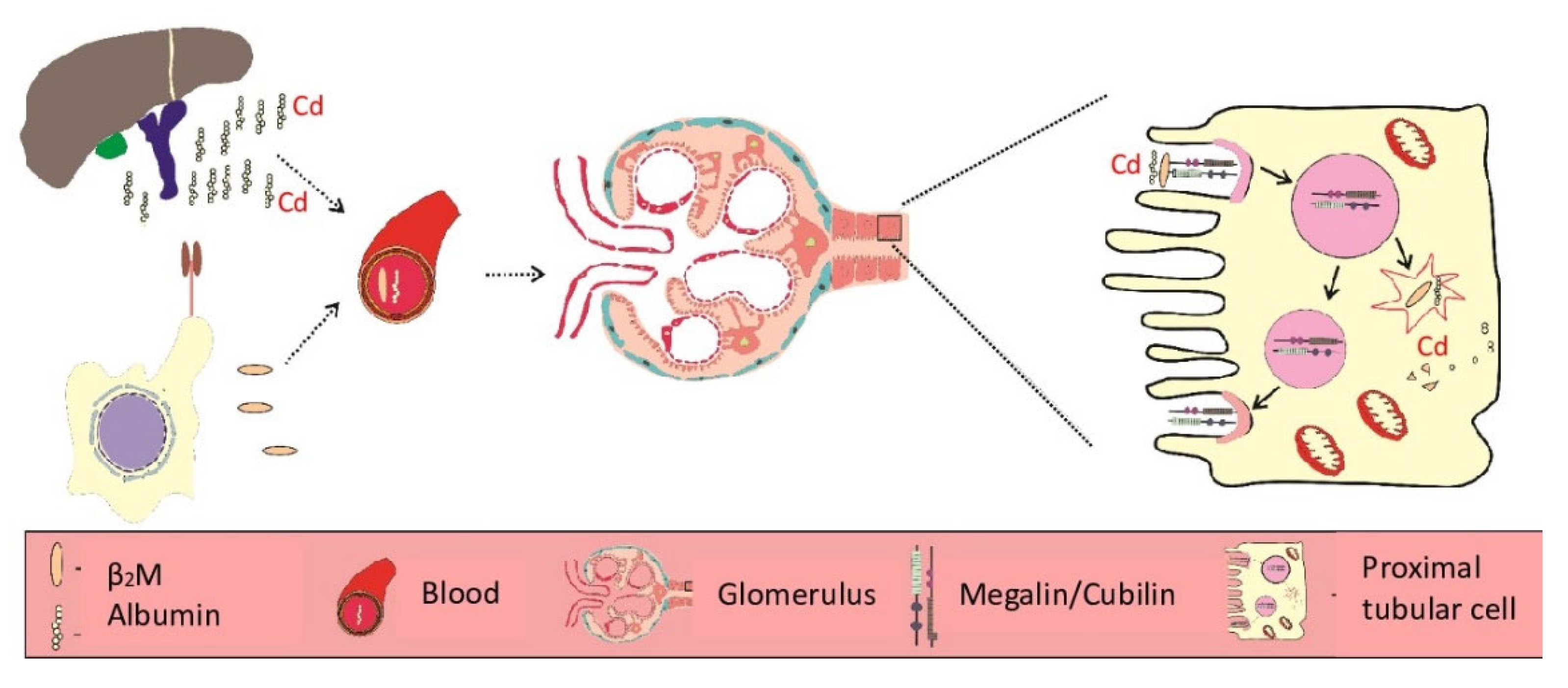 Preprints 206524 g008