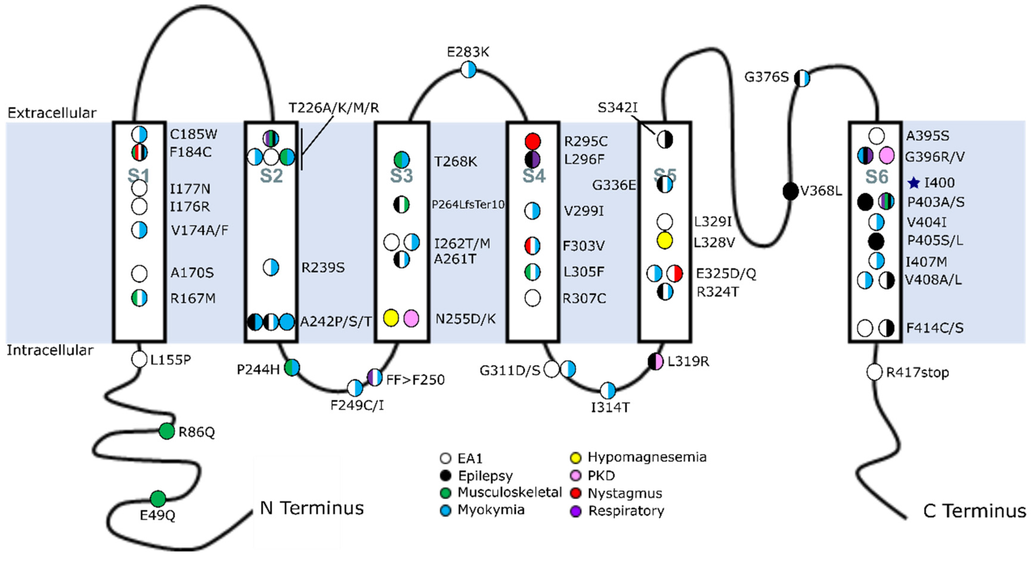 Preprints 72094 g001
