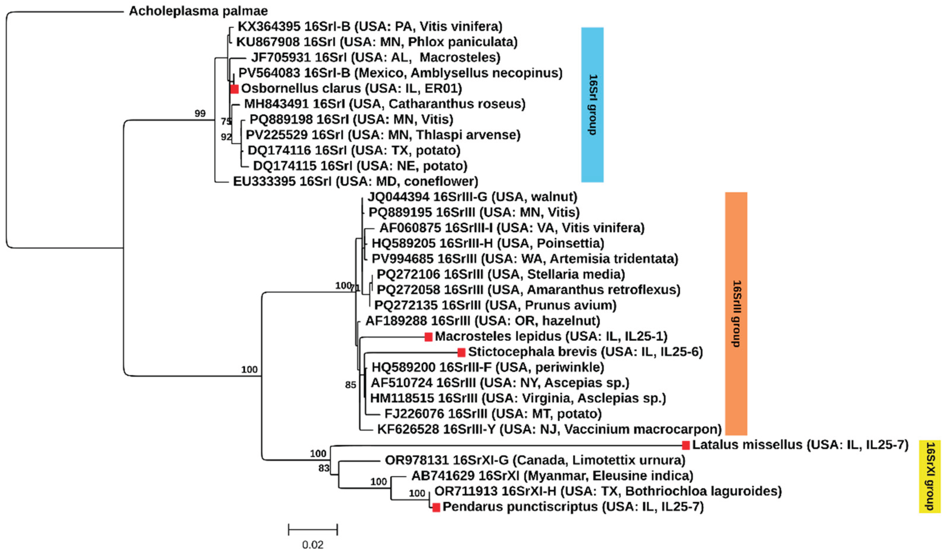 Preprints 197284 g004