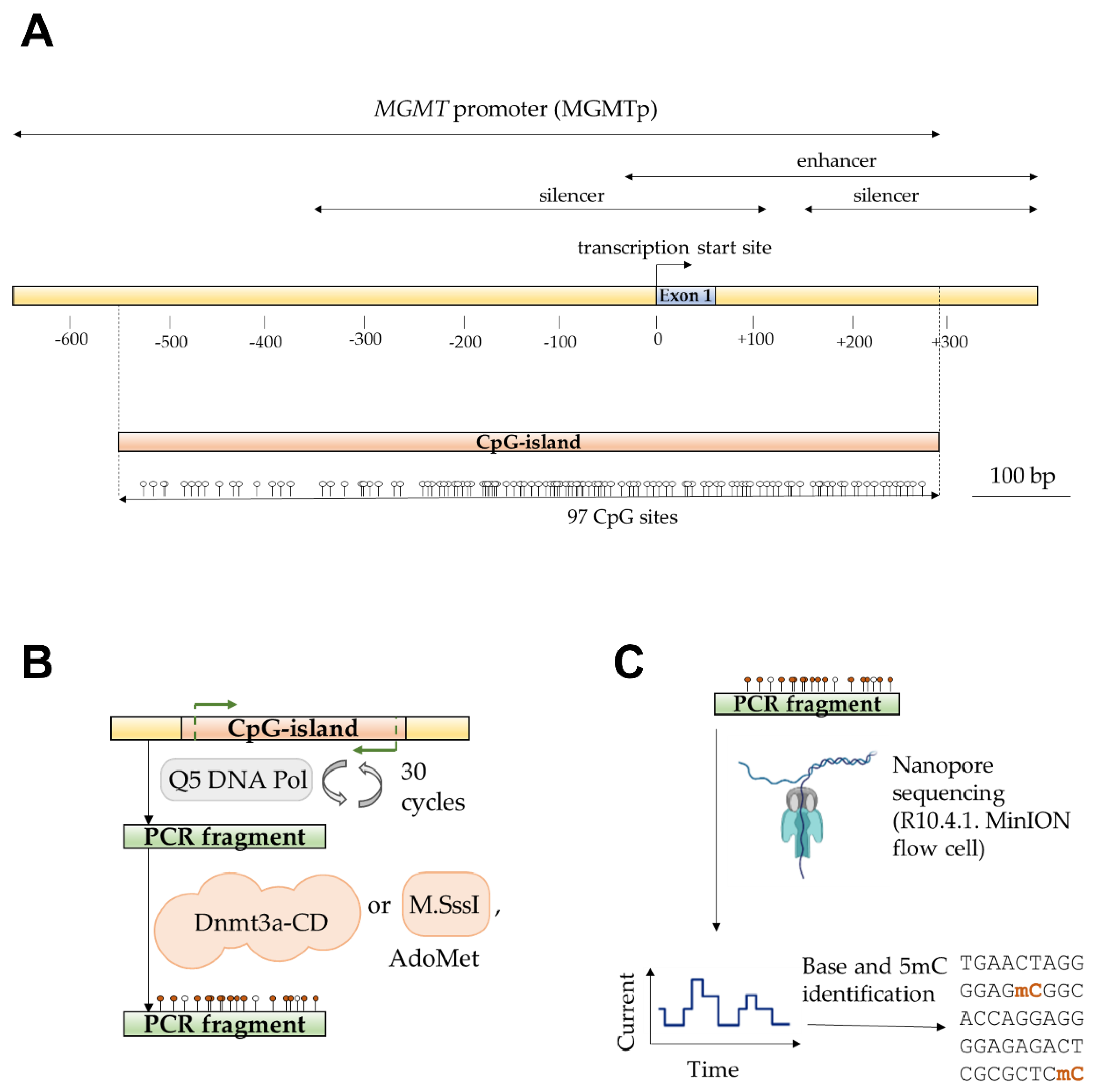 Preprints 141782 g001