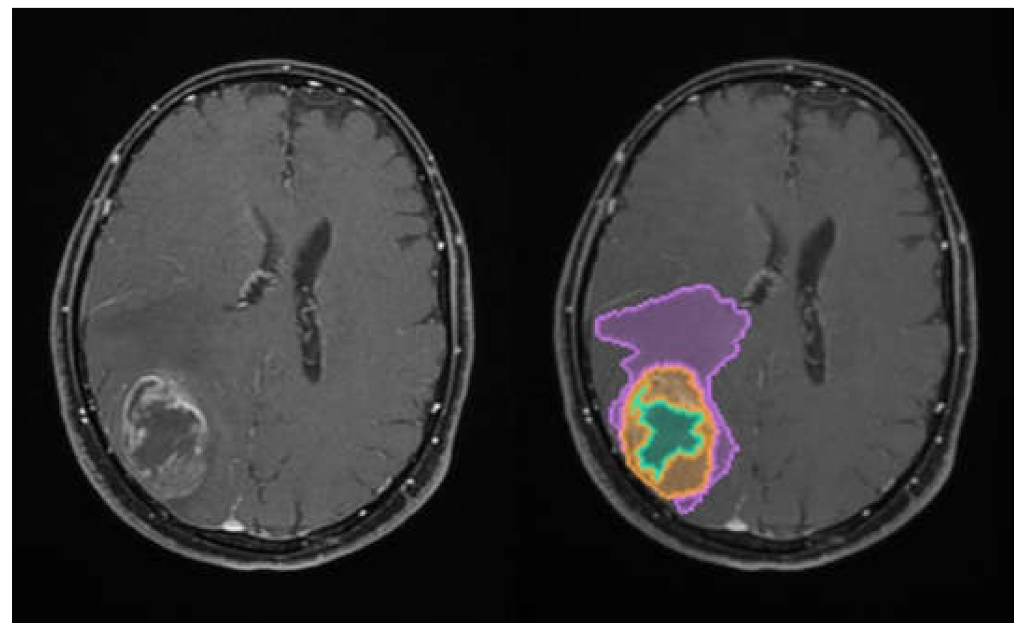 Preprints 198831 g001