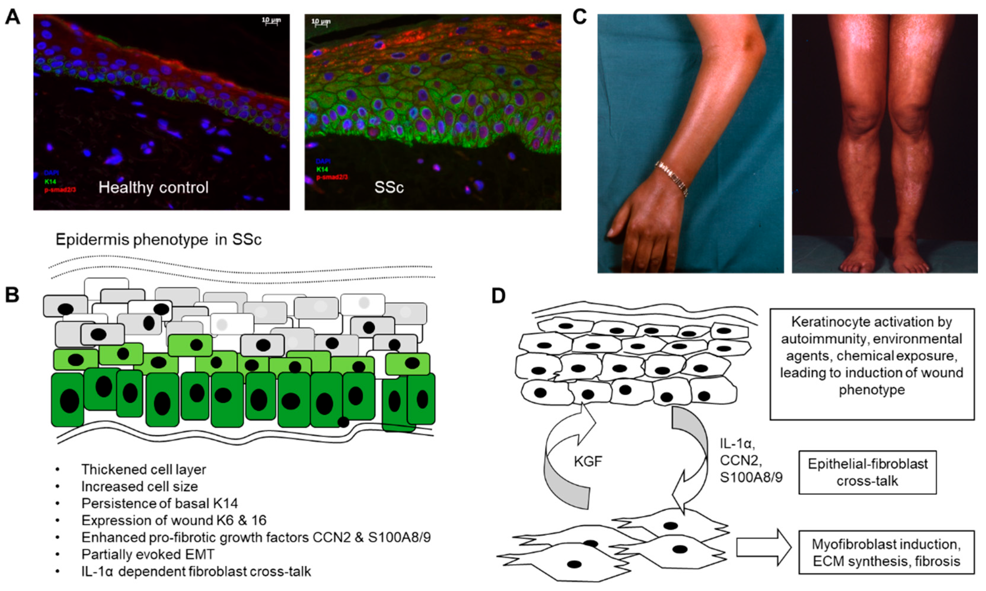 Preprints 153858 g001
