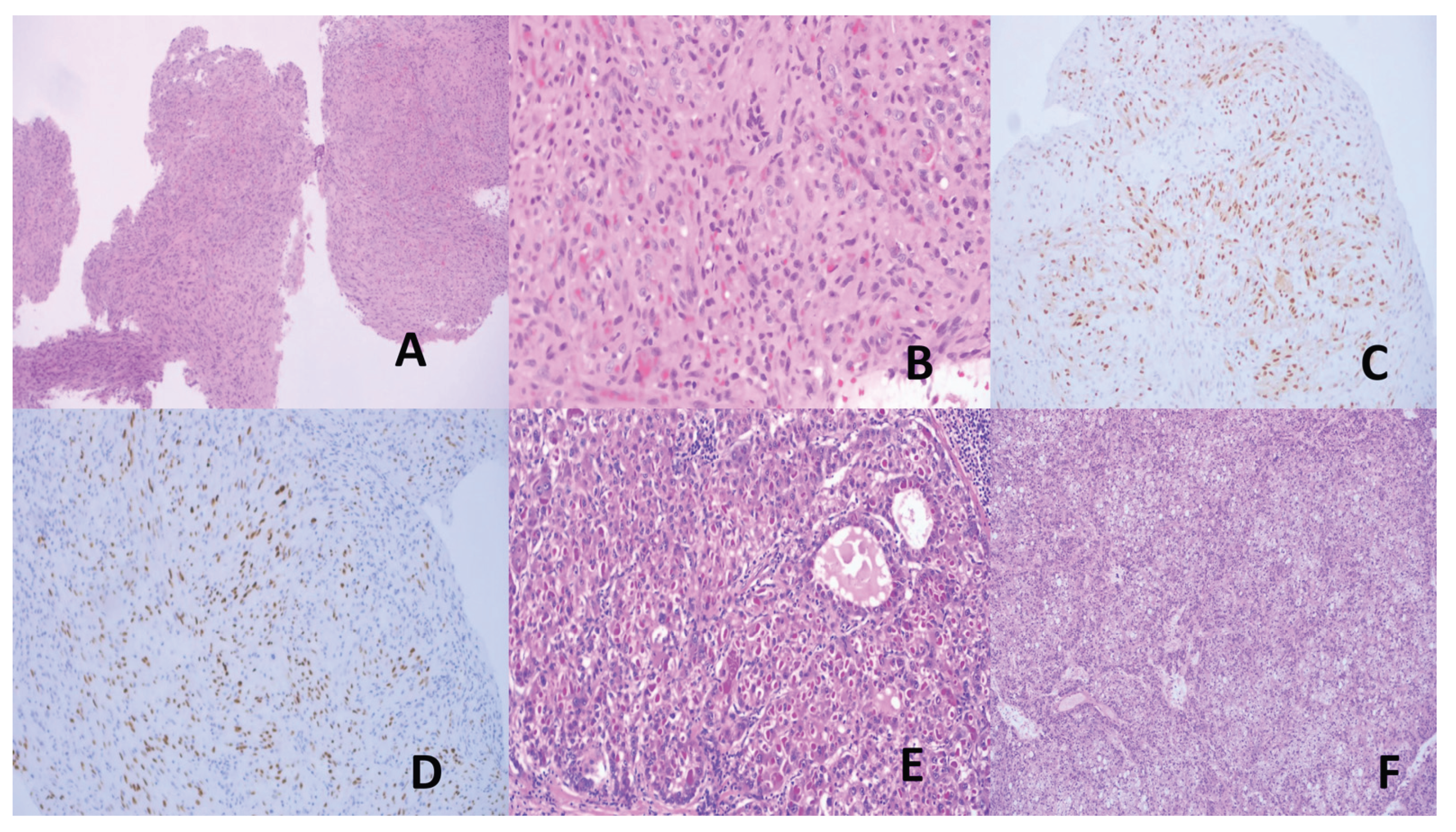 Preprints 170245 g005