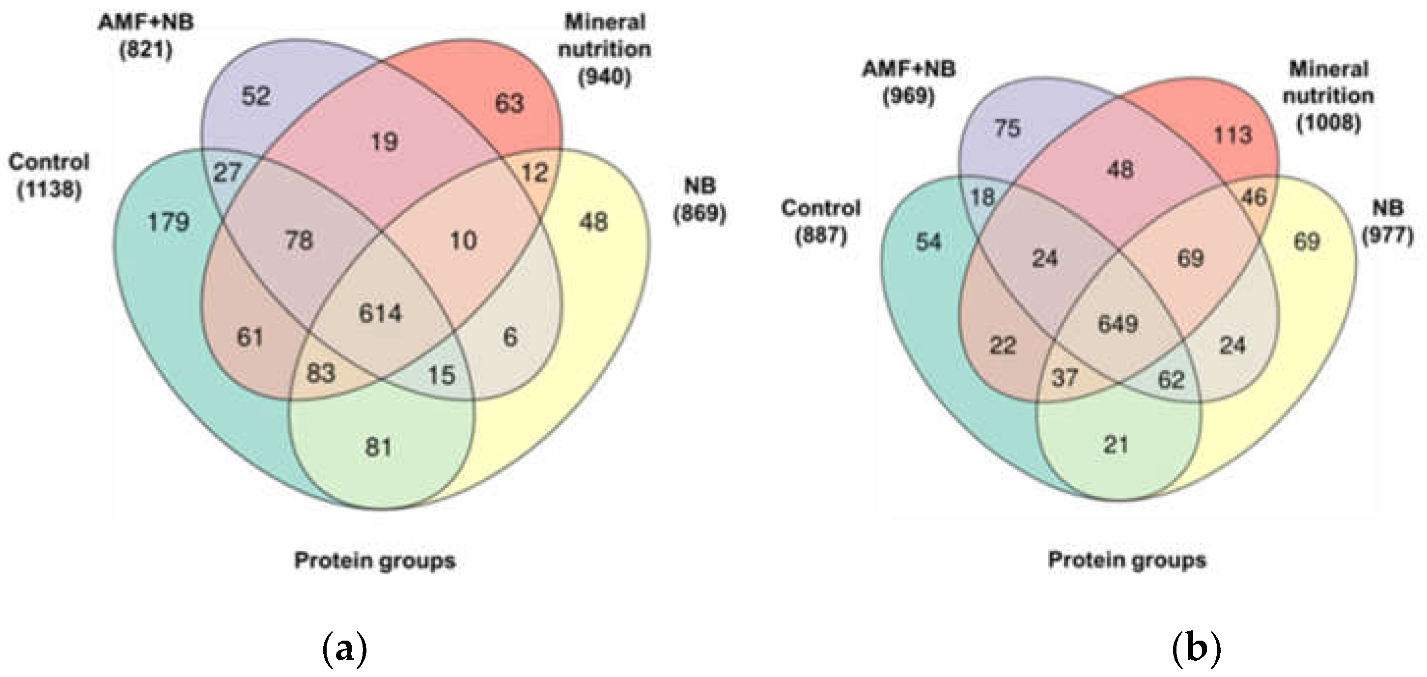Preprints 142562 g001