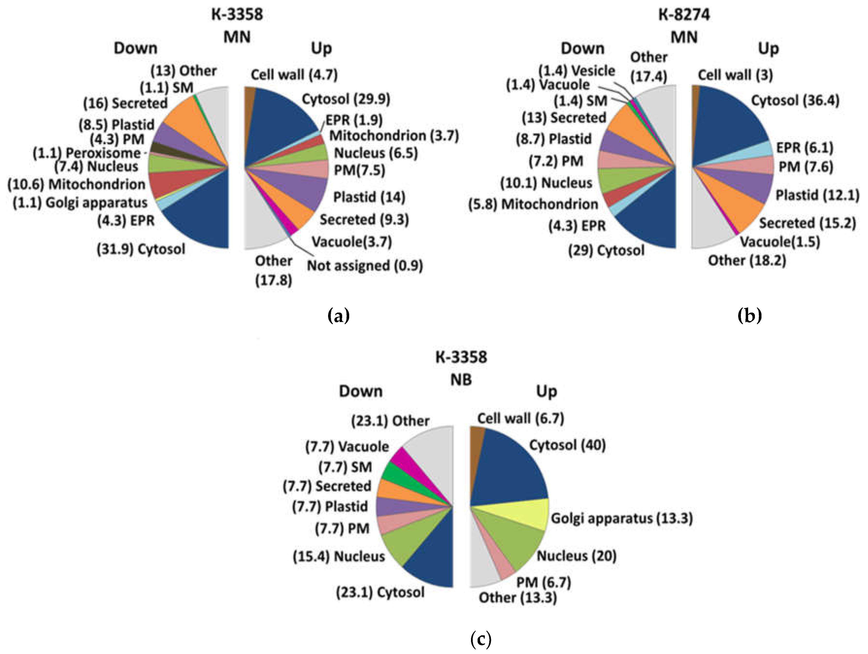 Preprints 142562 g005a
