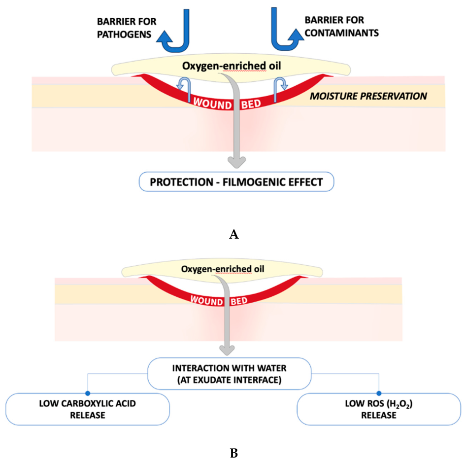 Preprints 224036 g002 Preprints 224036 g002