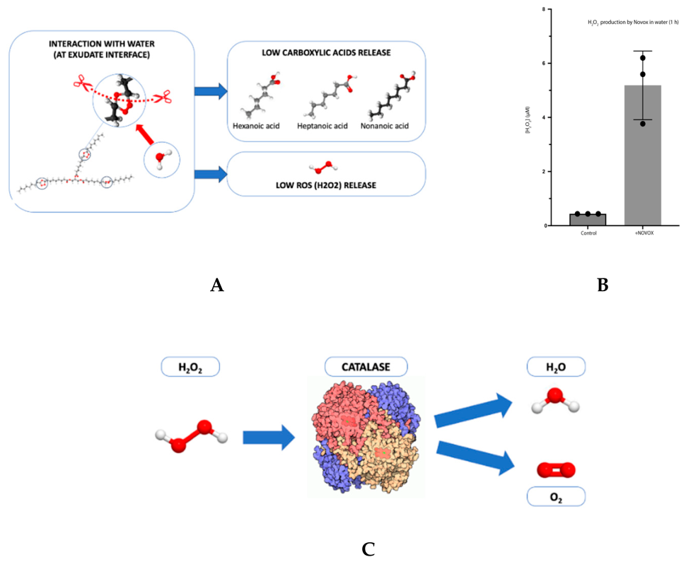 Preprints 224036 g003 Preprints 224036 g003