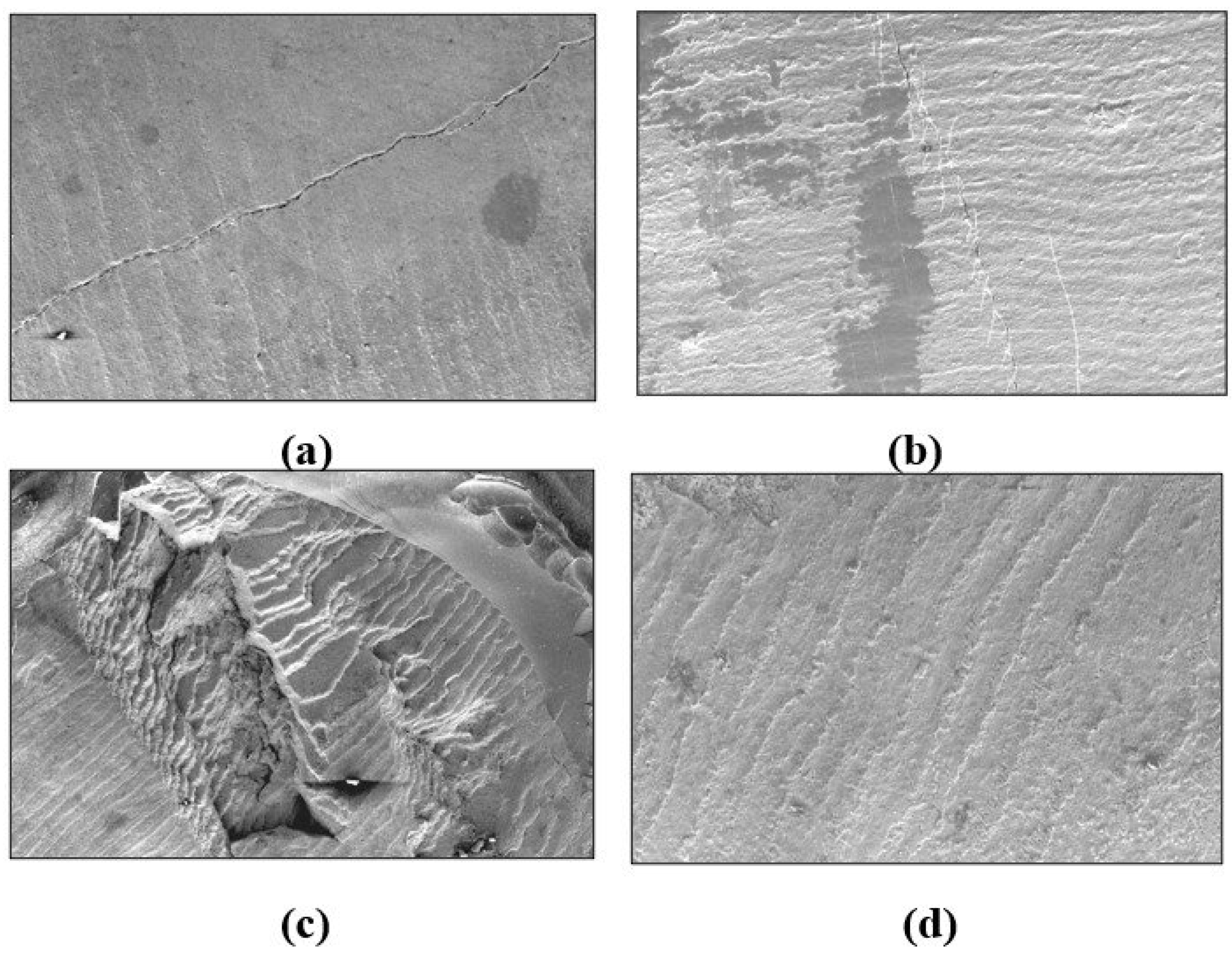 Preprints 138734 g003