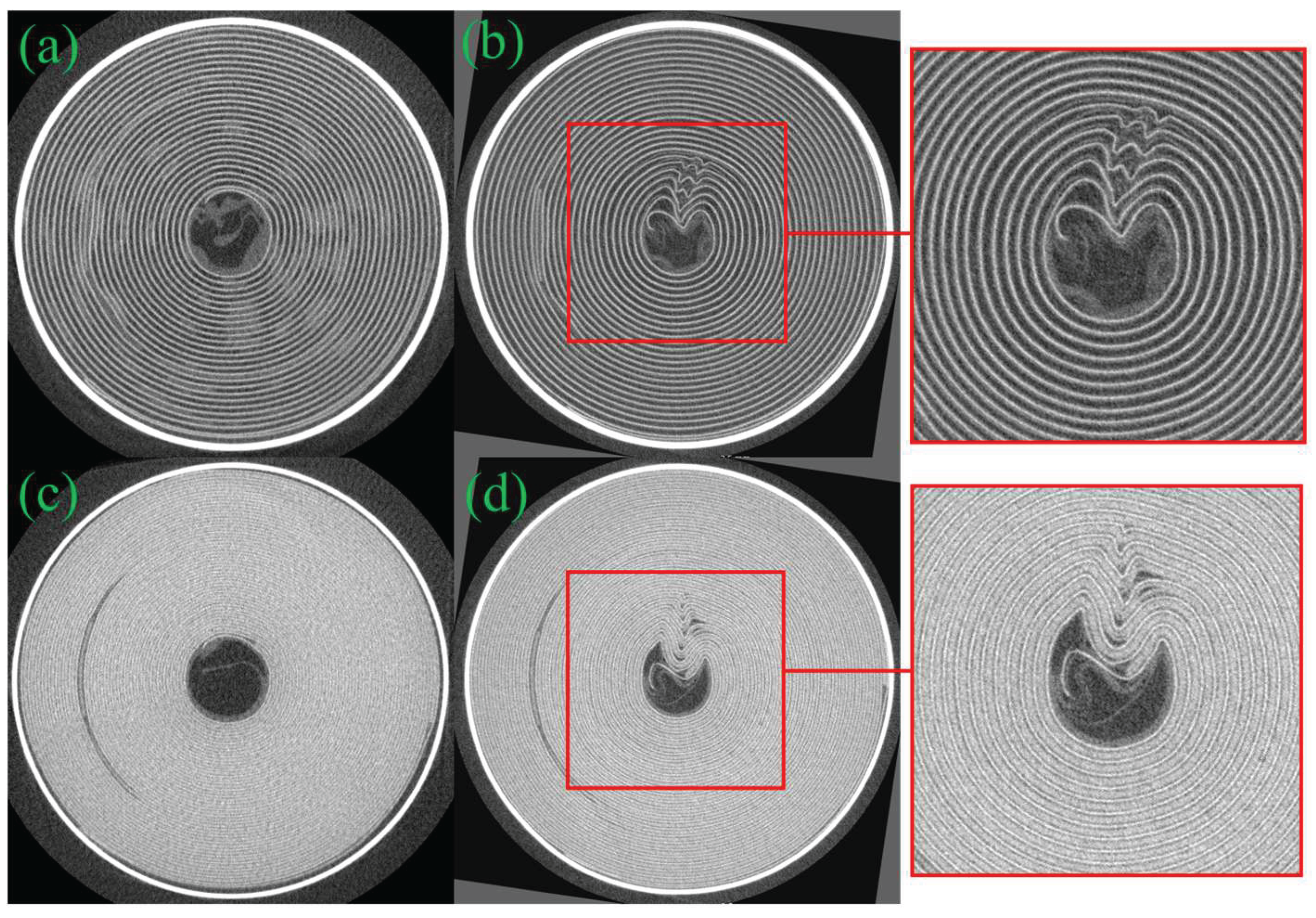Preprints 216439 g004